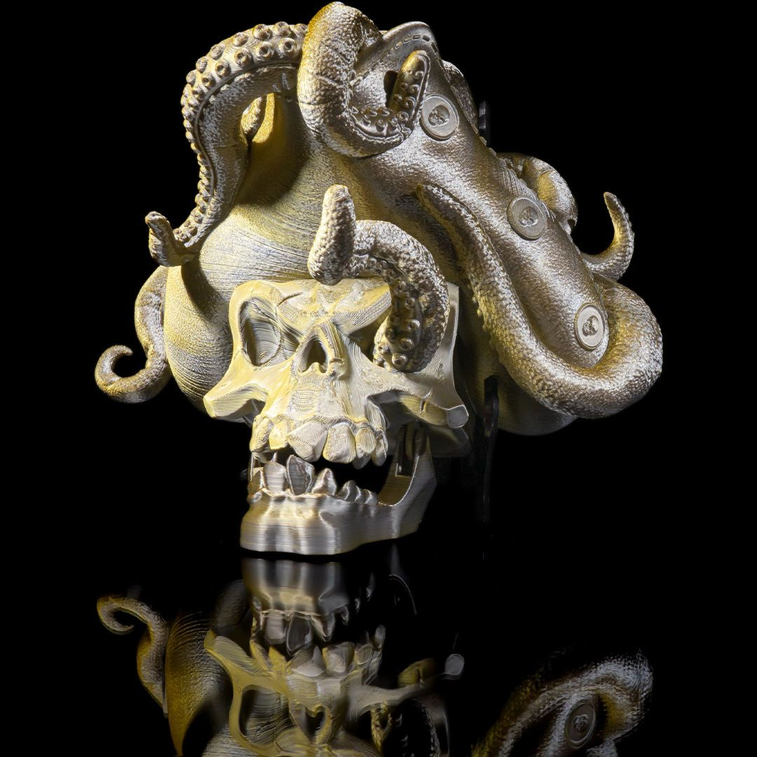 Another Pirate Door Knocker