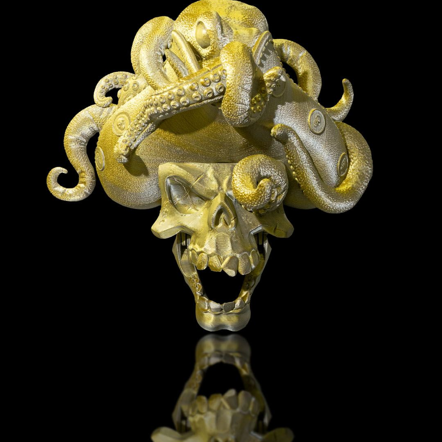 Another Pirate Door Knocker