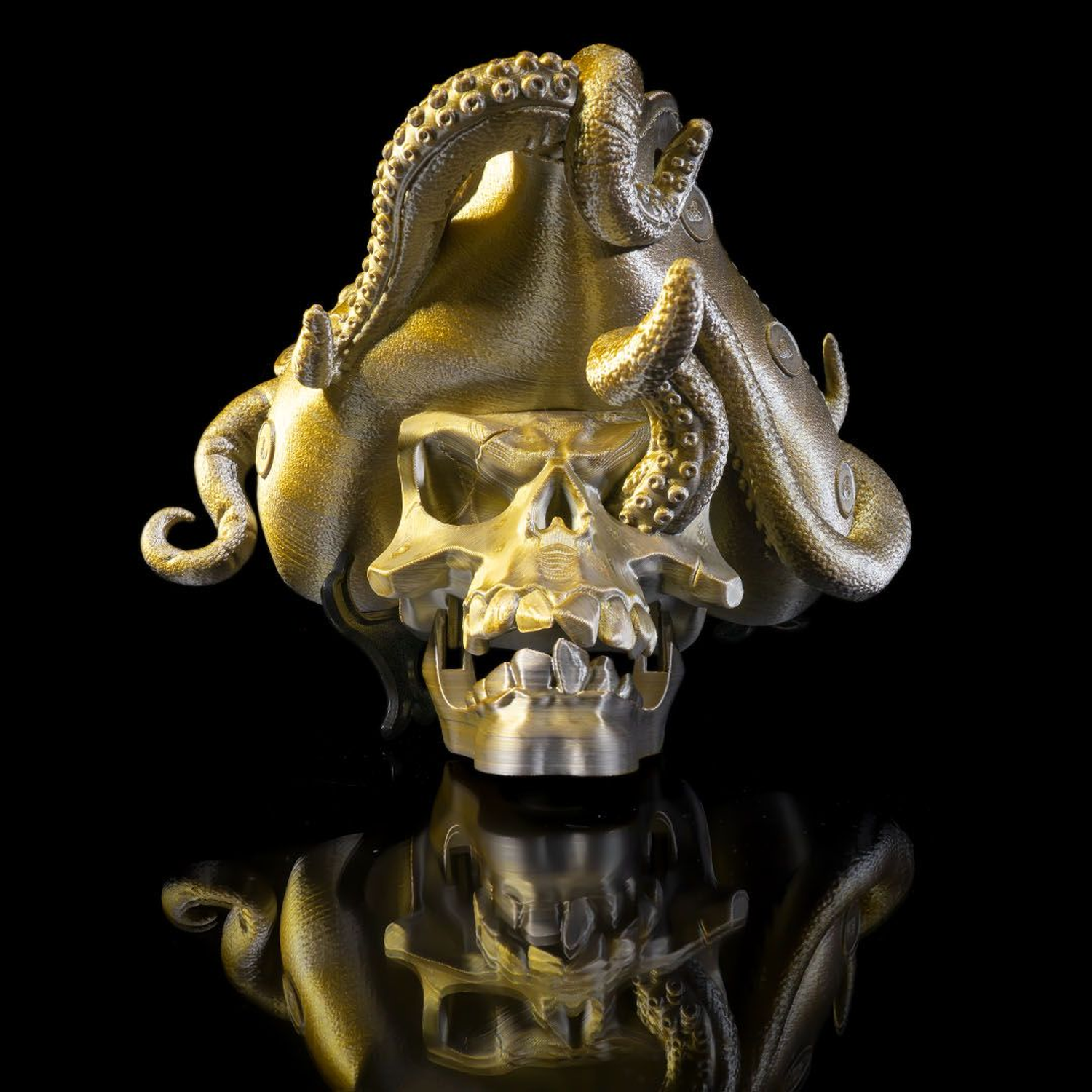 Another Pirate Door Knocker