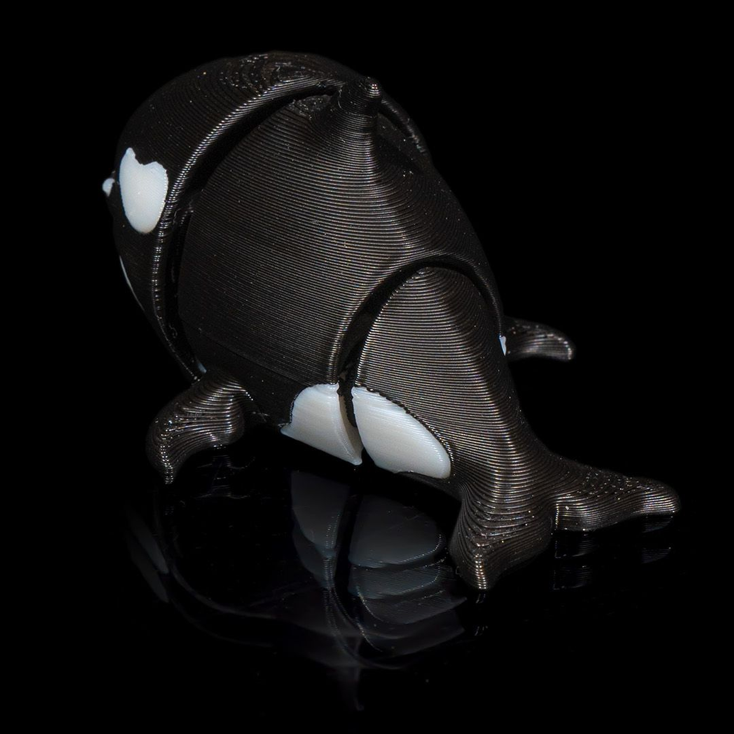 Tiny Orca