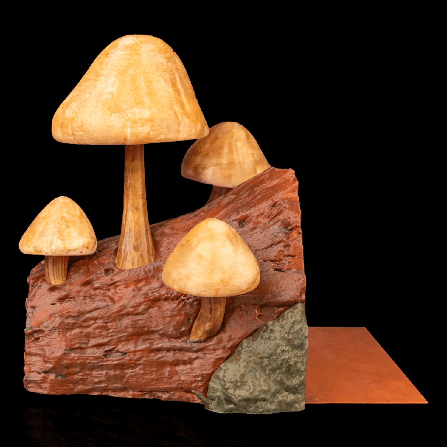 Sujetalibros Book Shrooms