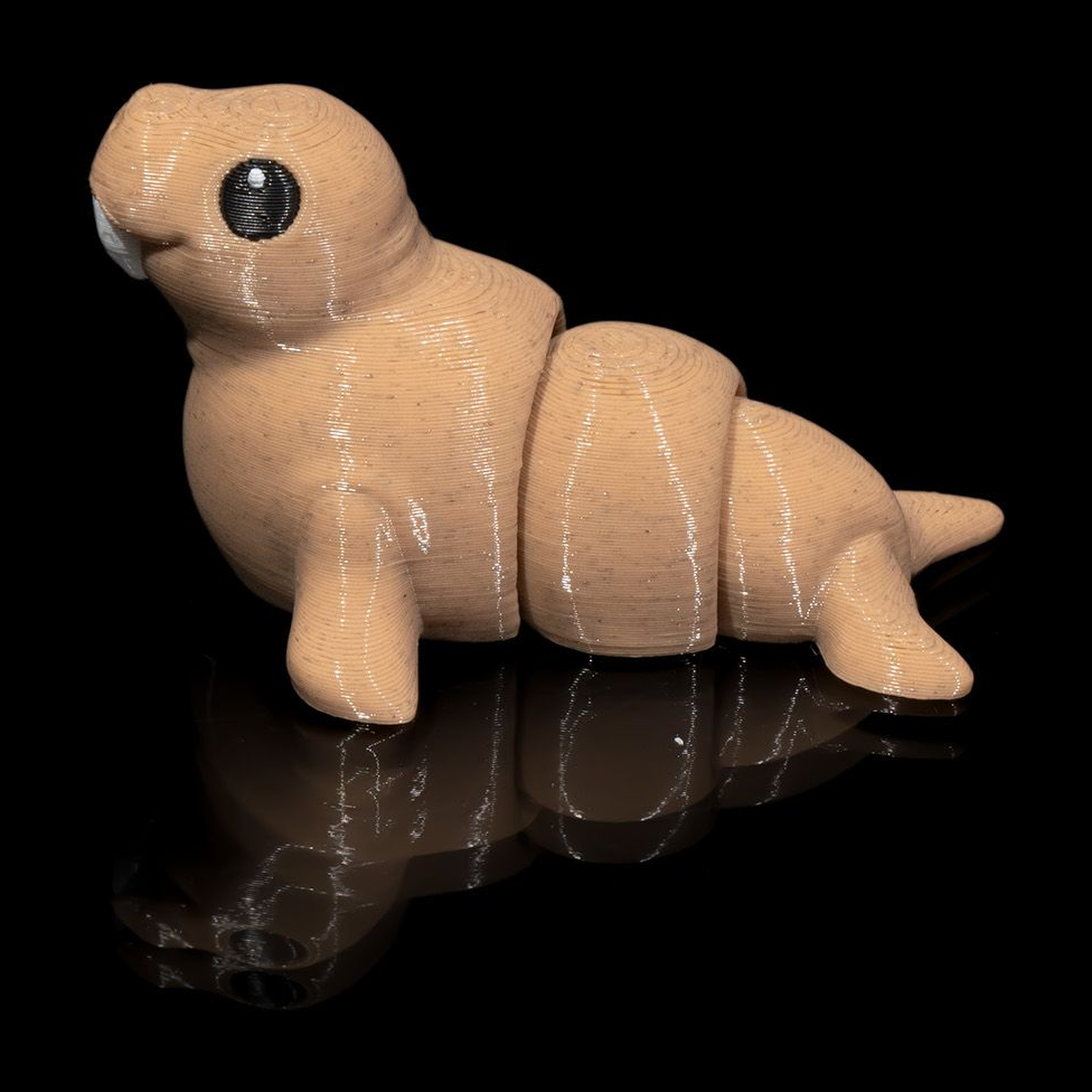 Atlantic Walrus