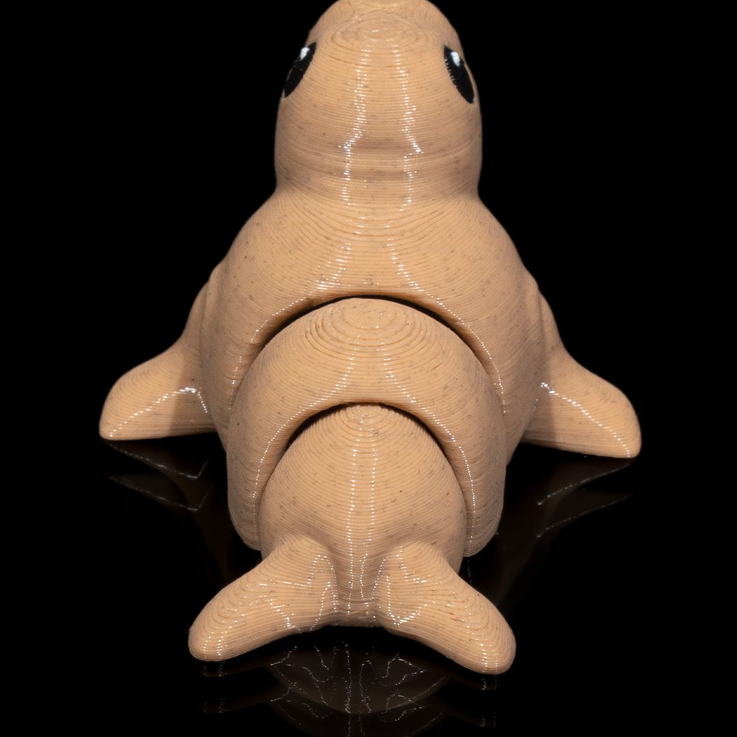 Atlantic Walrus
