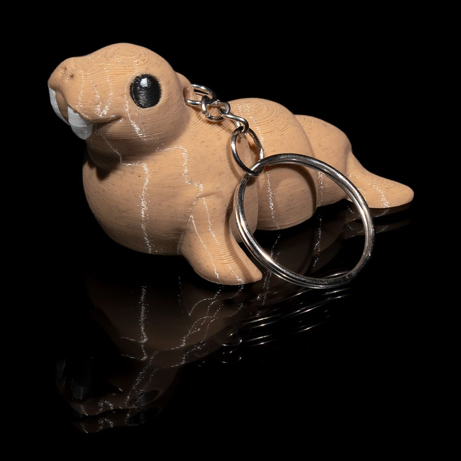 Atlantic Walrus