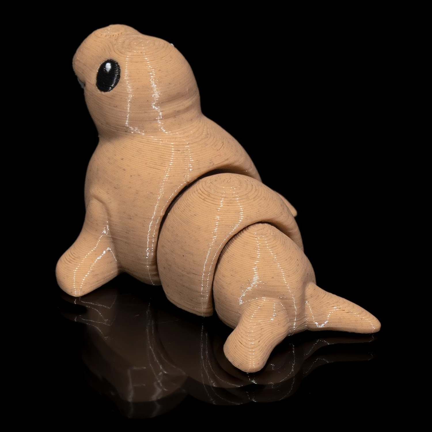 Atlantic Walrus