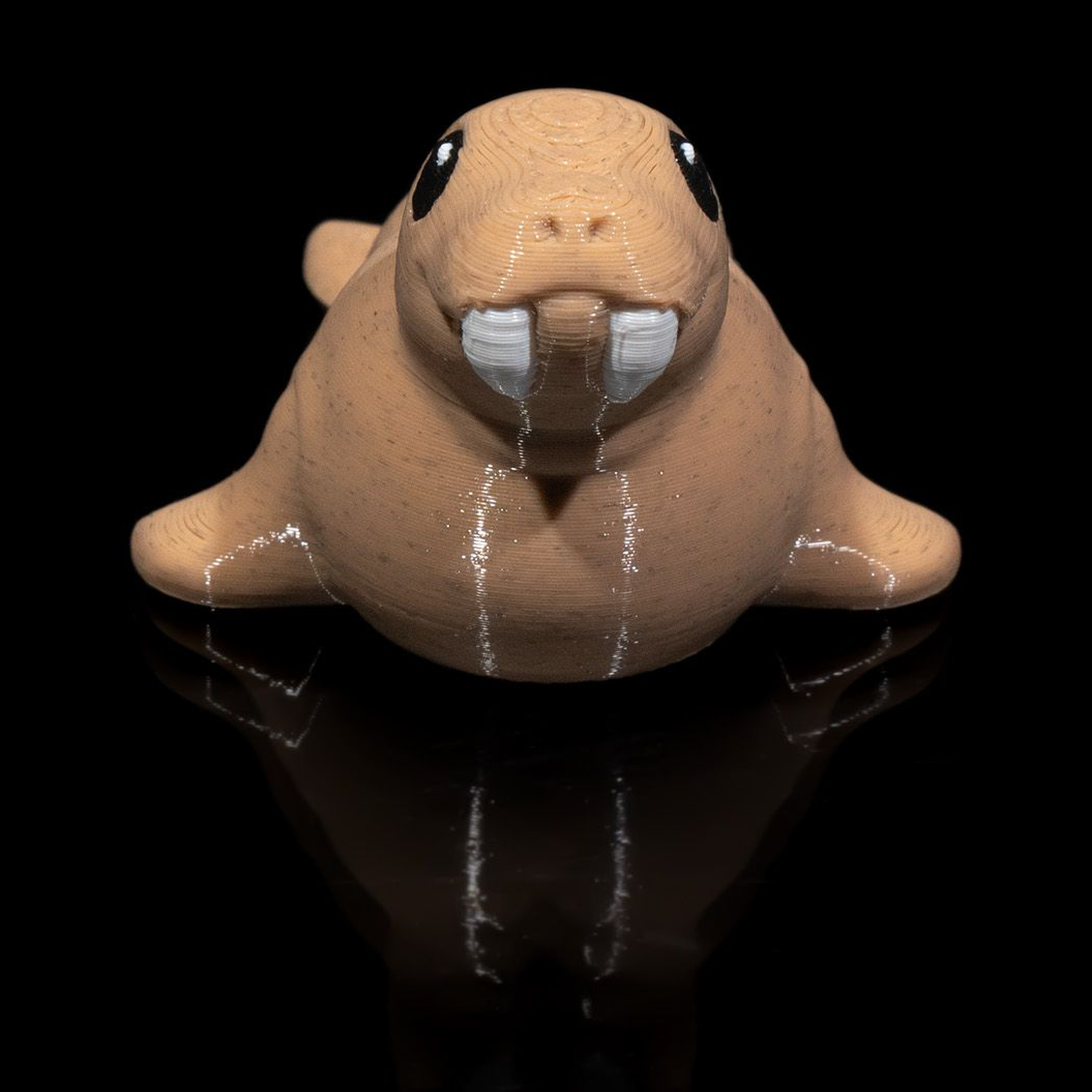 Atlantic Walrus