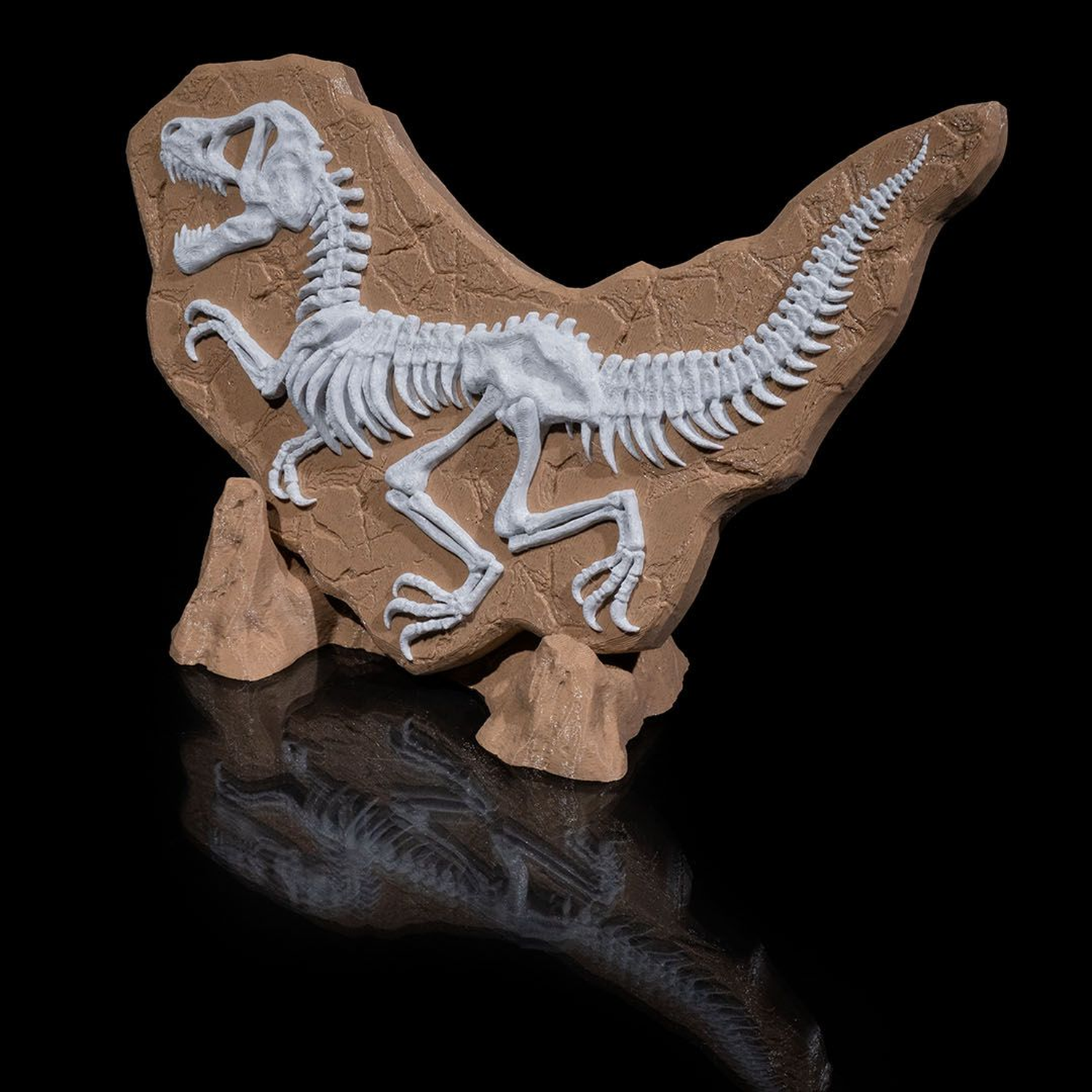 Dino Evidence