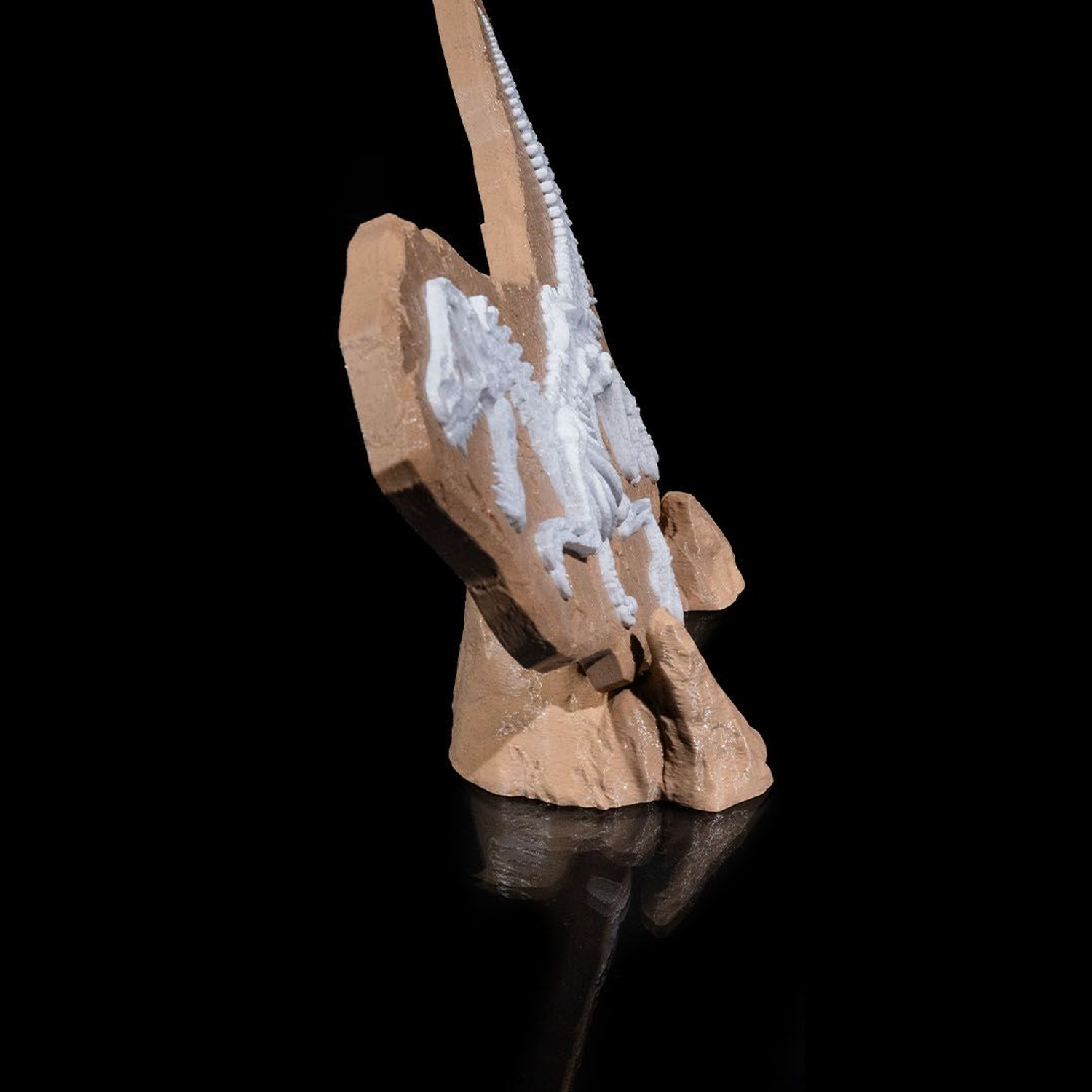 Dino Evidence
