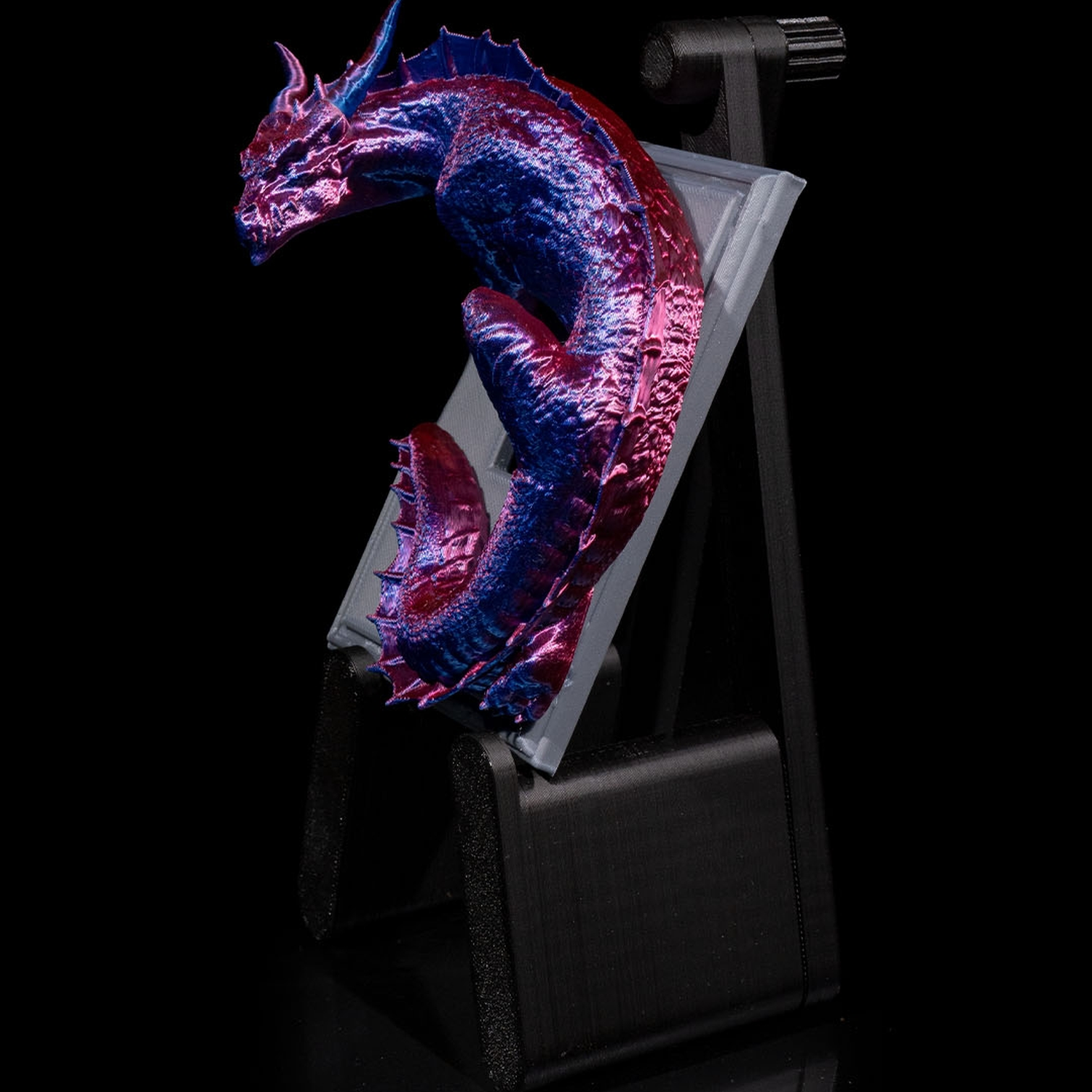 Dragon Warden Light Switch Cover