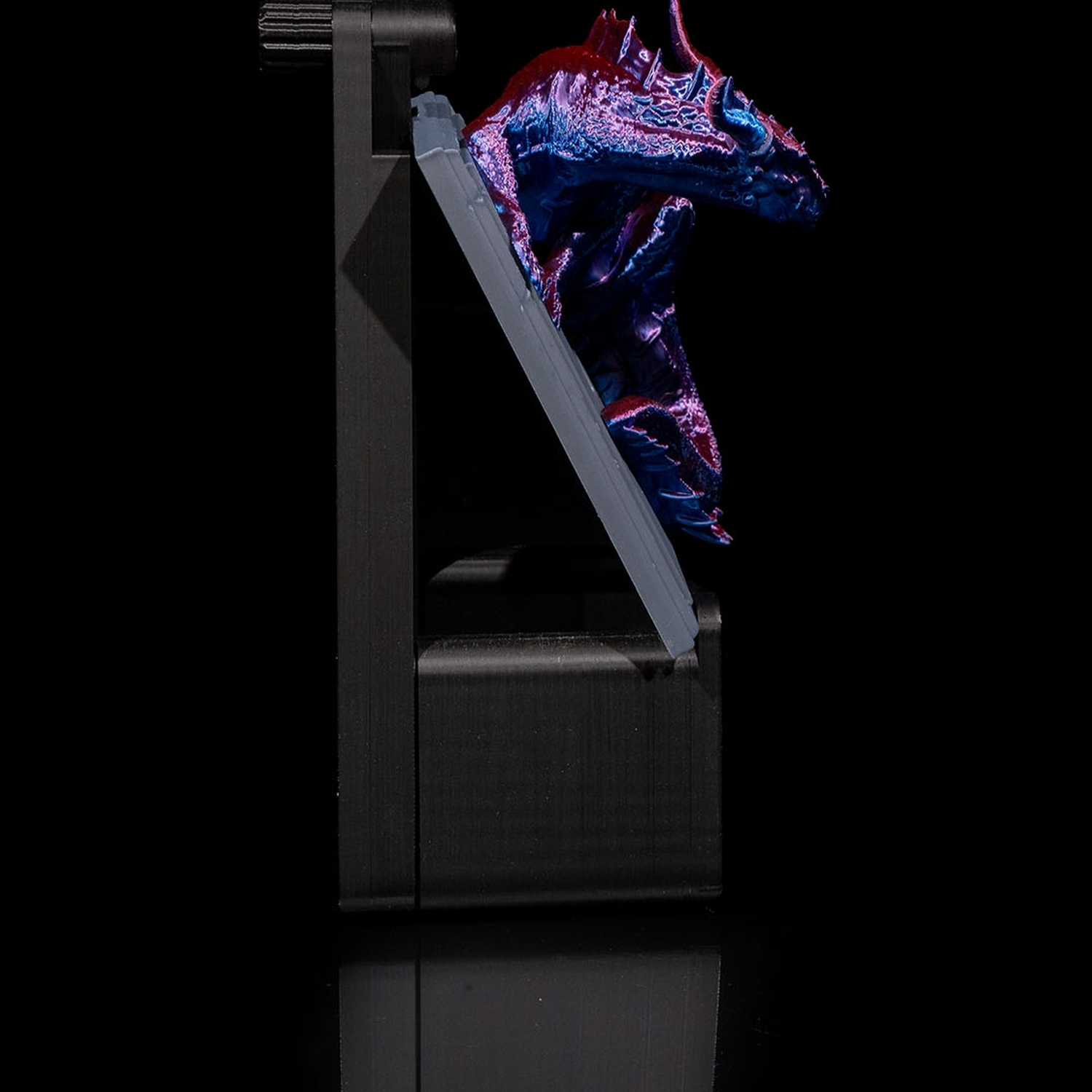 Dragon Warden Light Switch Cover
