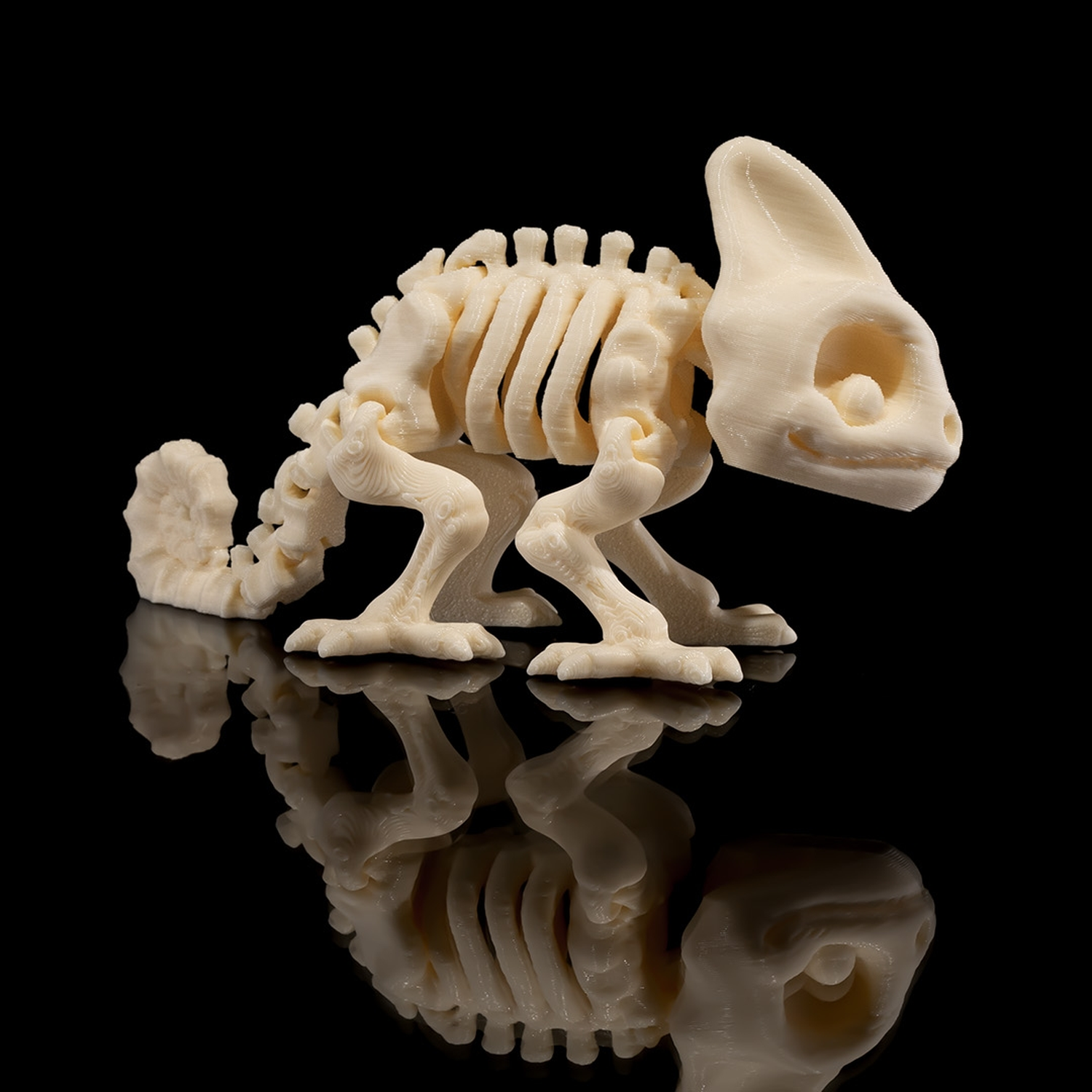 Skeleton Chameleon