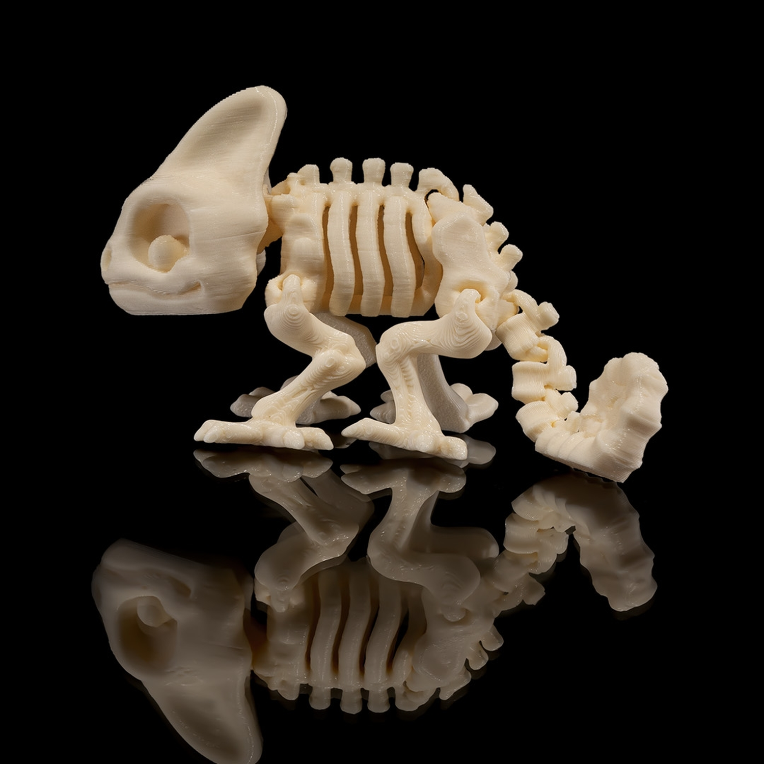 Skeleton Chameleon