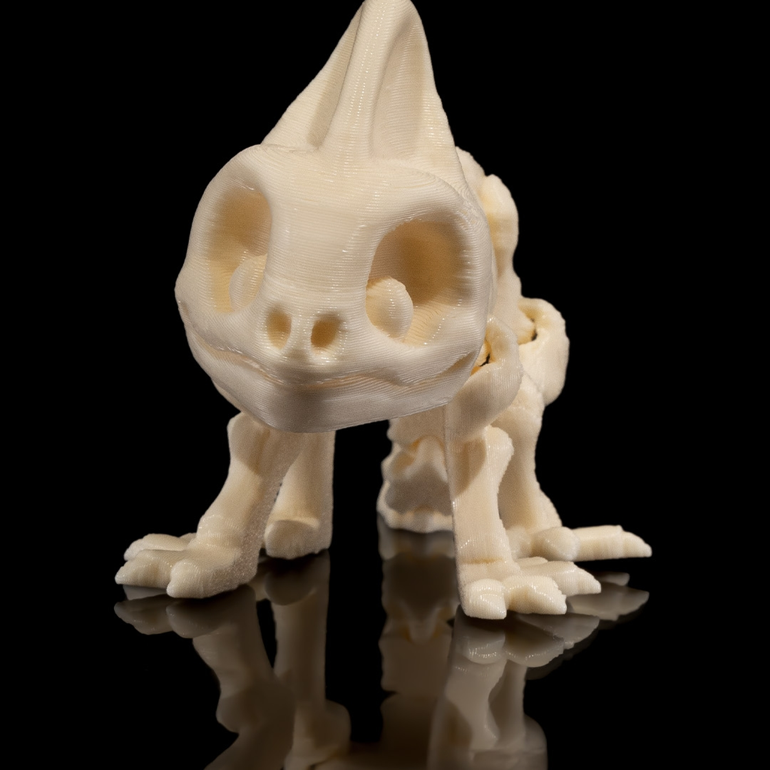 Skeleton Chameleon