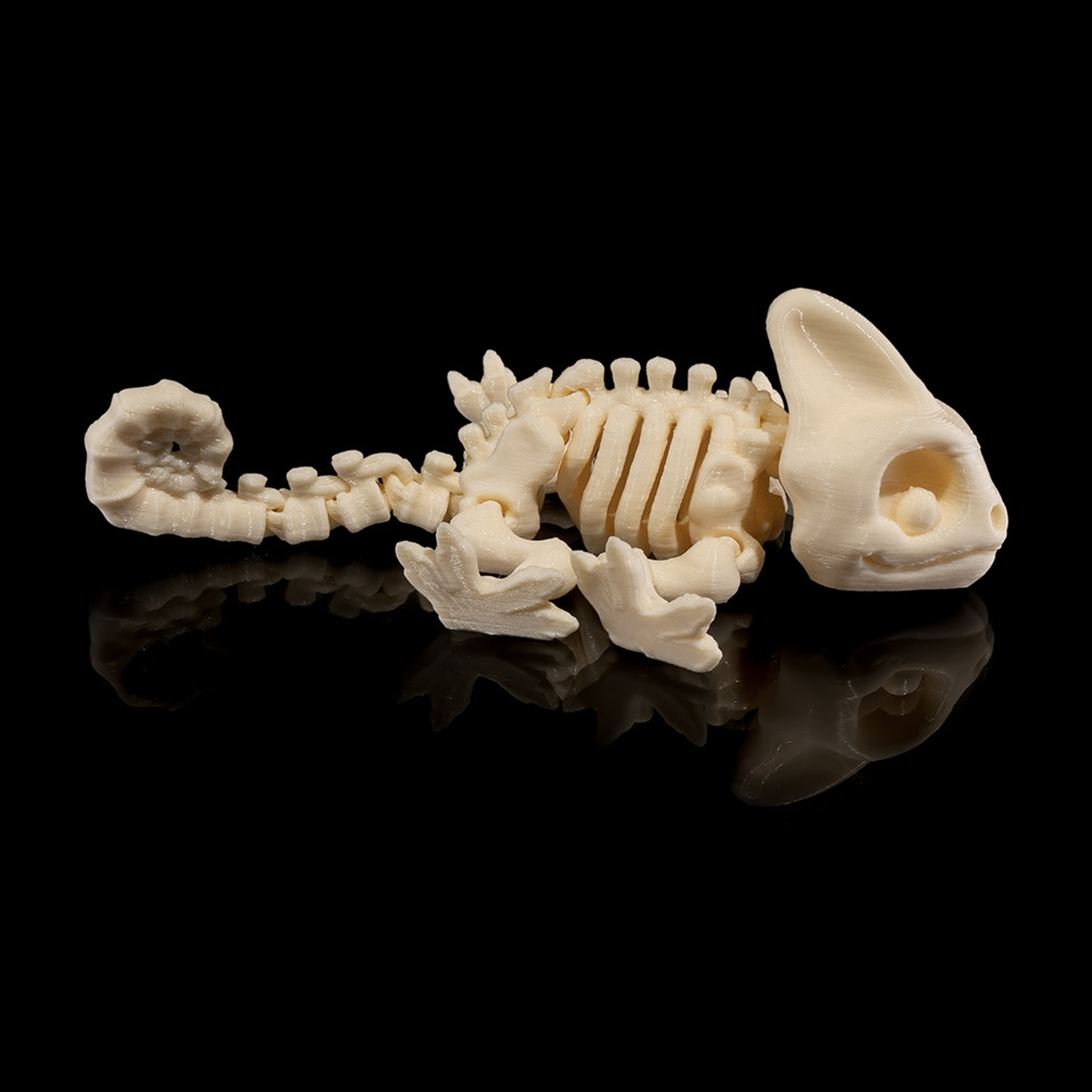 Skeleton Chameleon