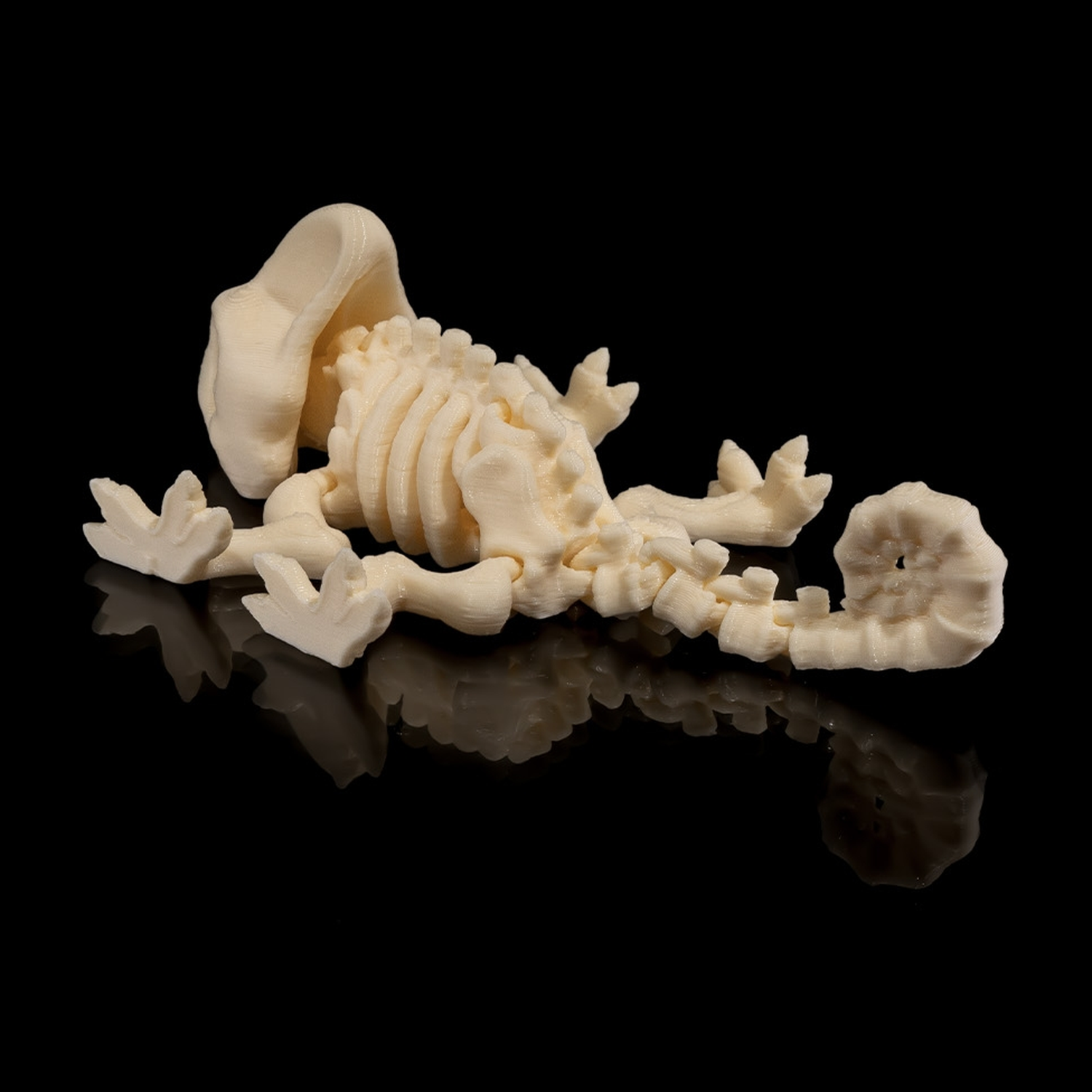 Skeleton Chameleon