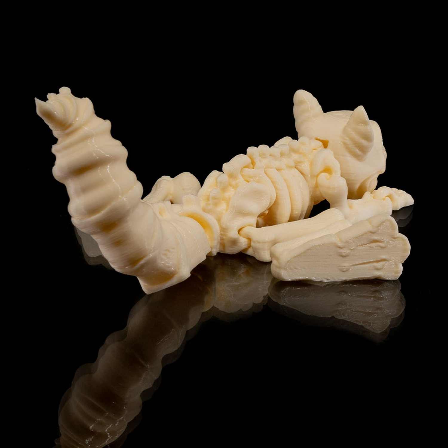 Skeleton Squirrel