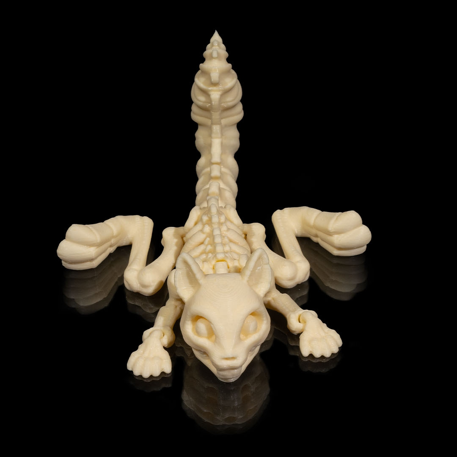 Skeleton Squirrel