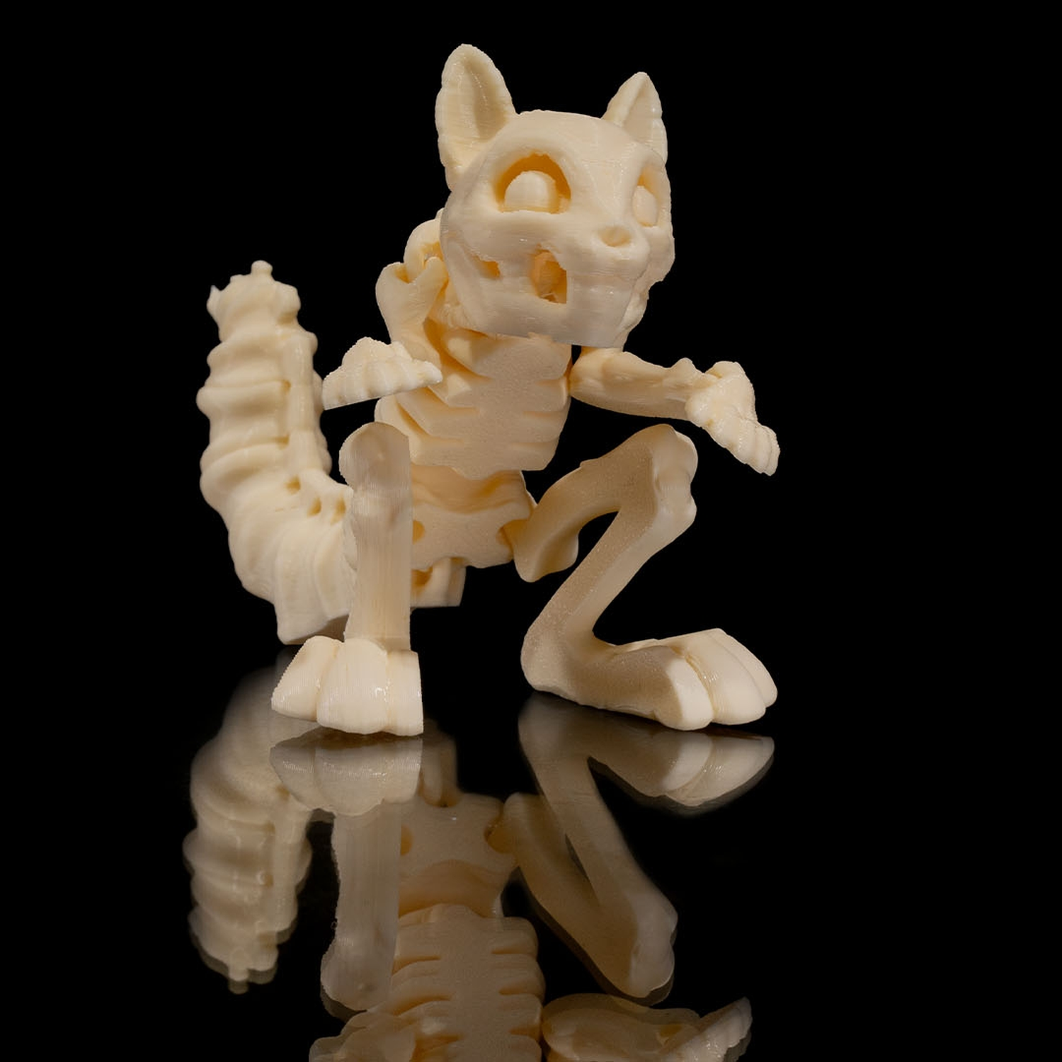Skeleton Squirrel