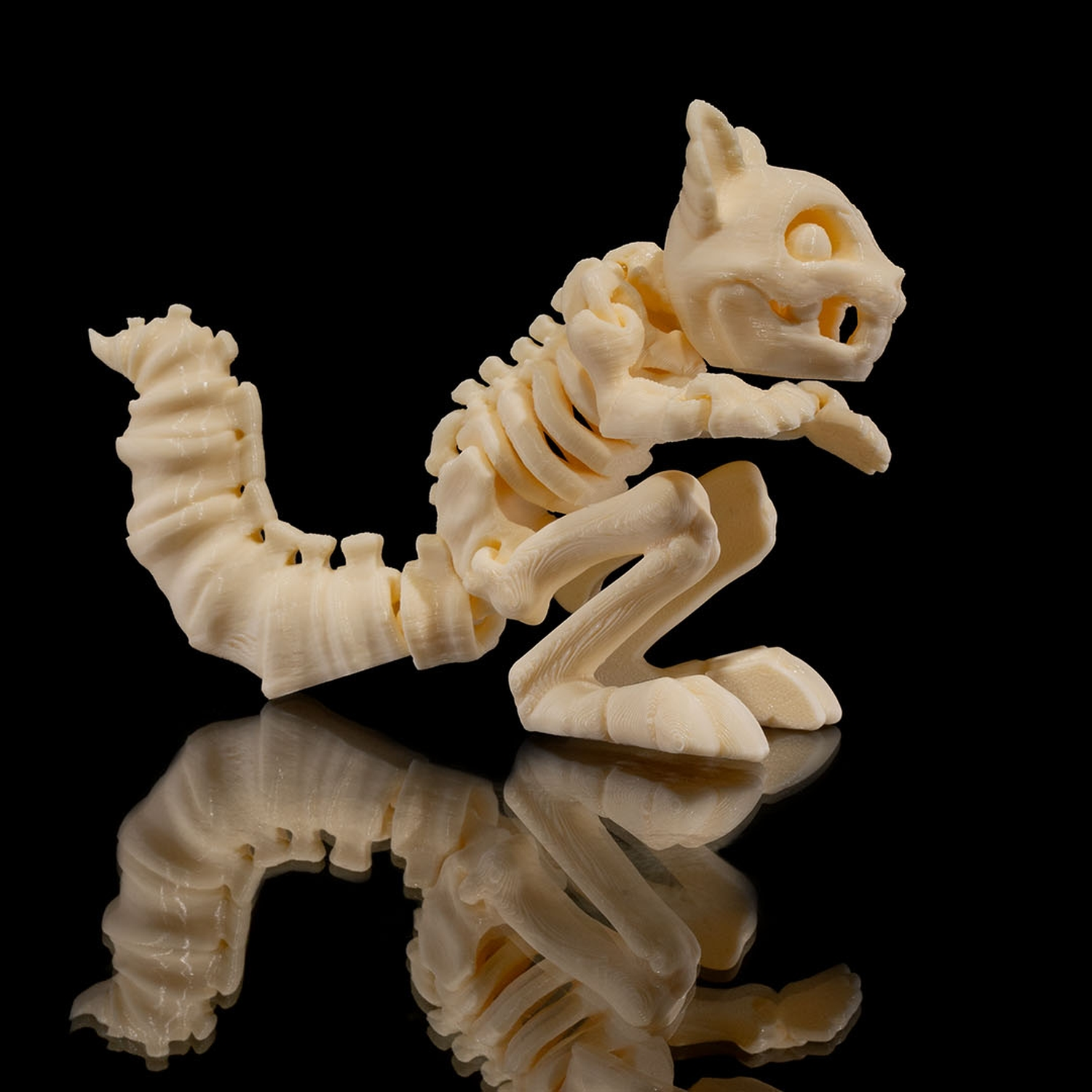 Skeleton Squirrel