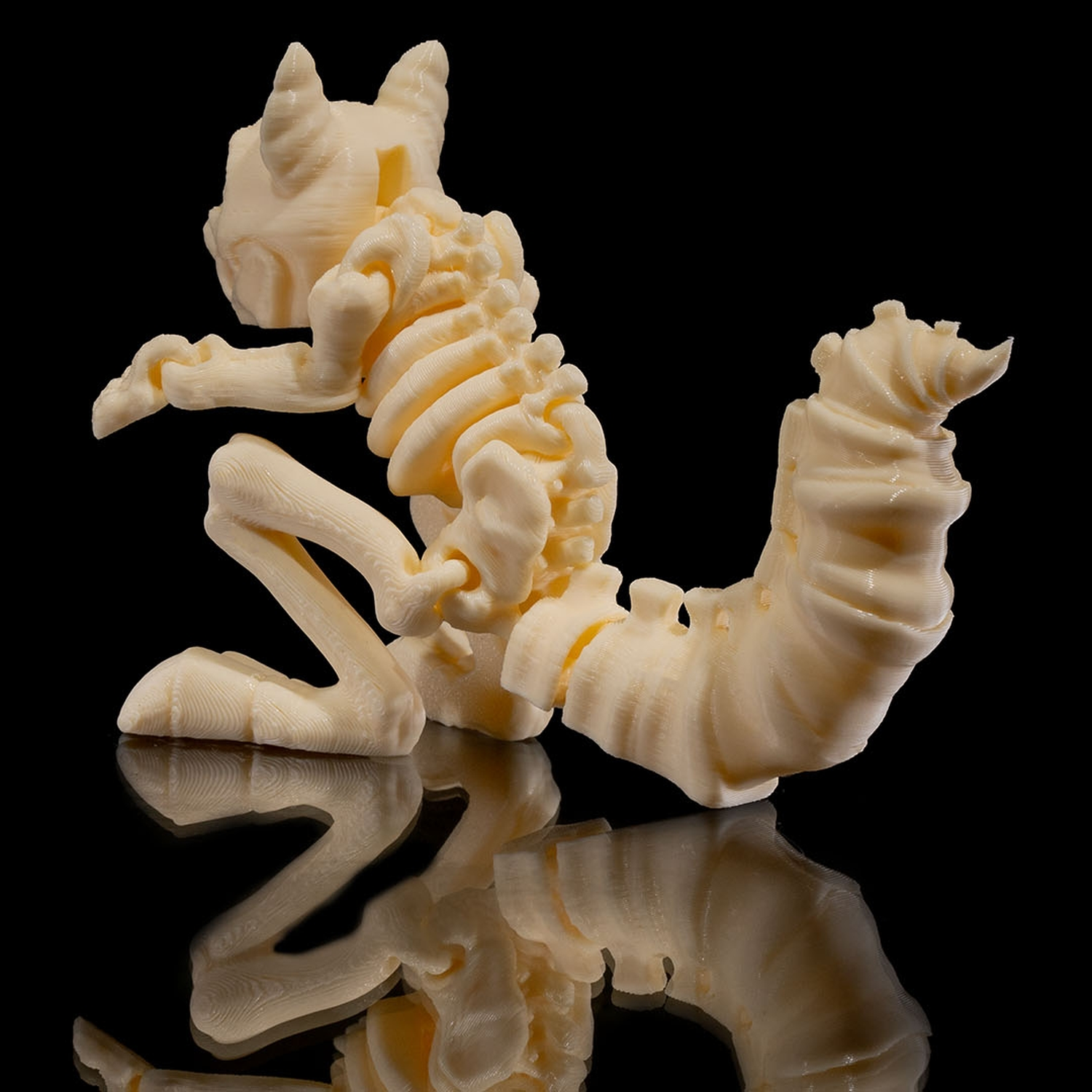 Skeleton Squirrel