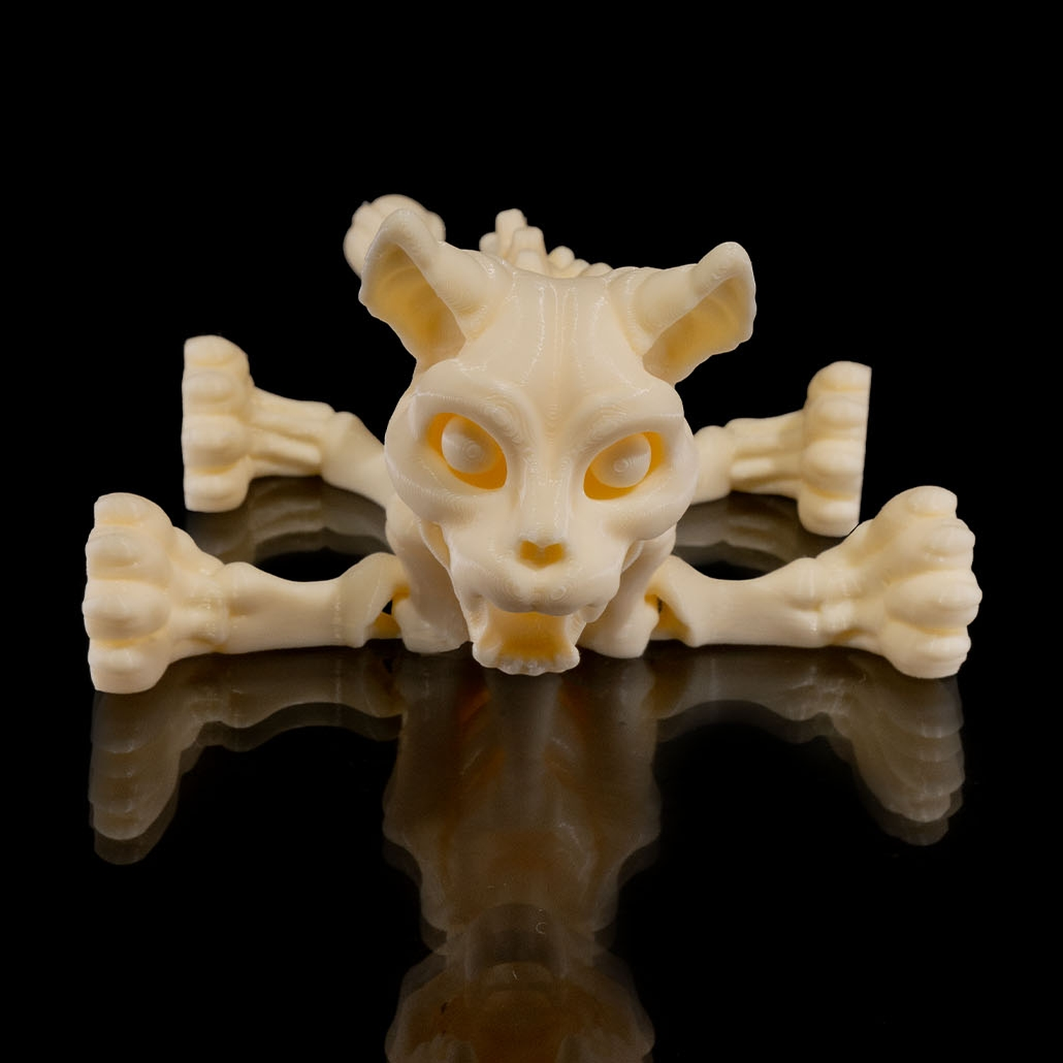 Skeleton Cat