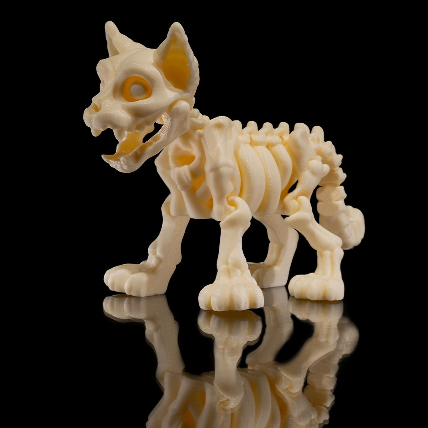 Skeleton Cat
