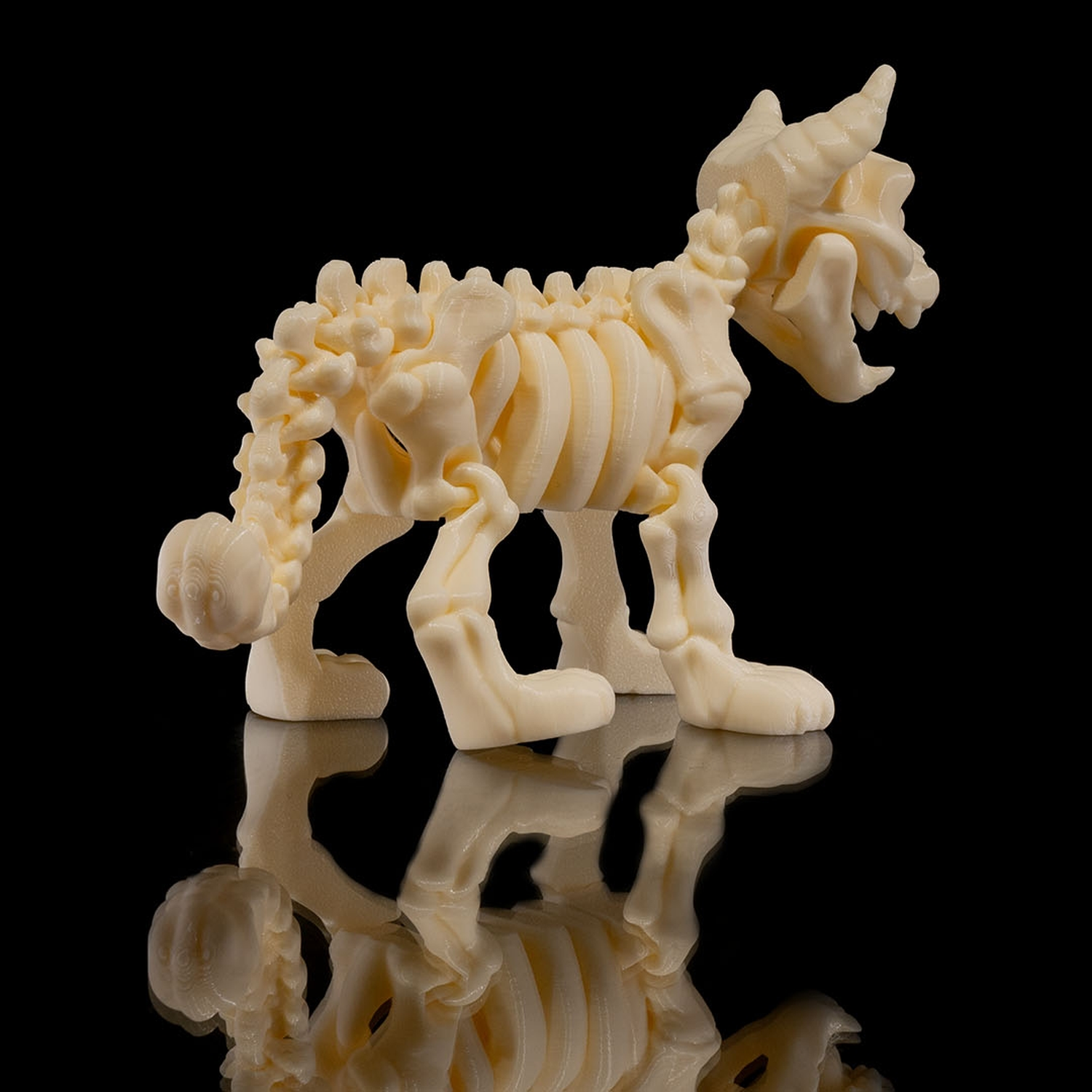 Skeleton Cat