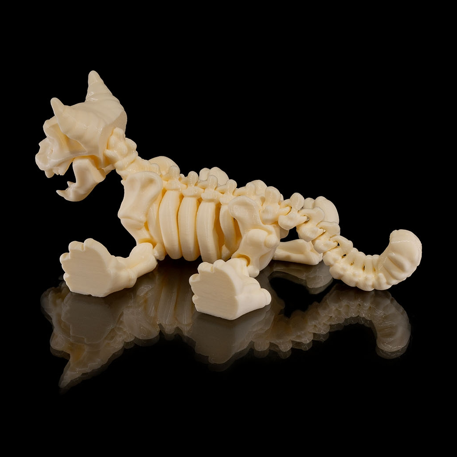 Skeleton Cat