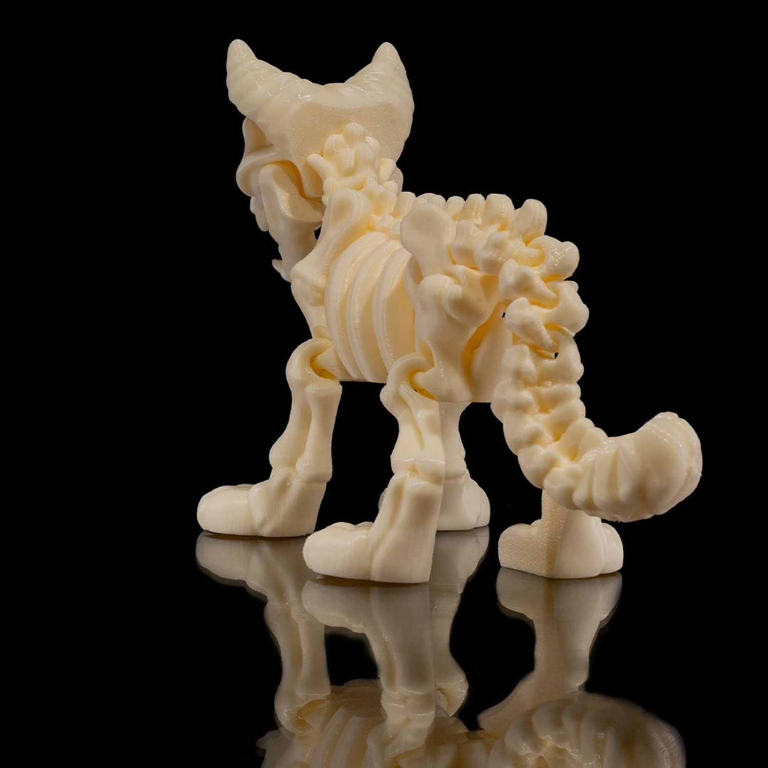 Skeleton Cat