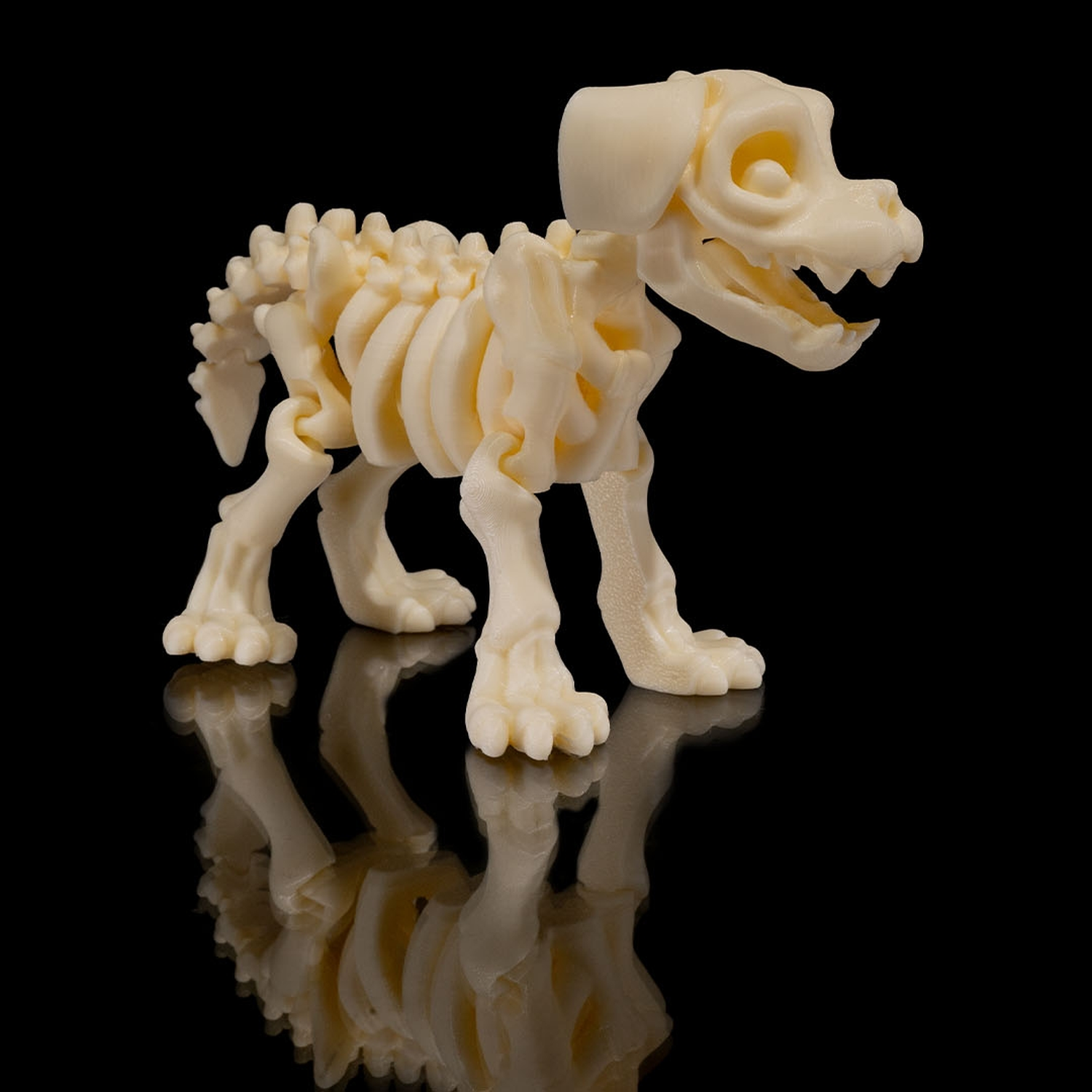 Skeleton Dog