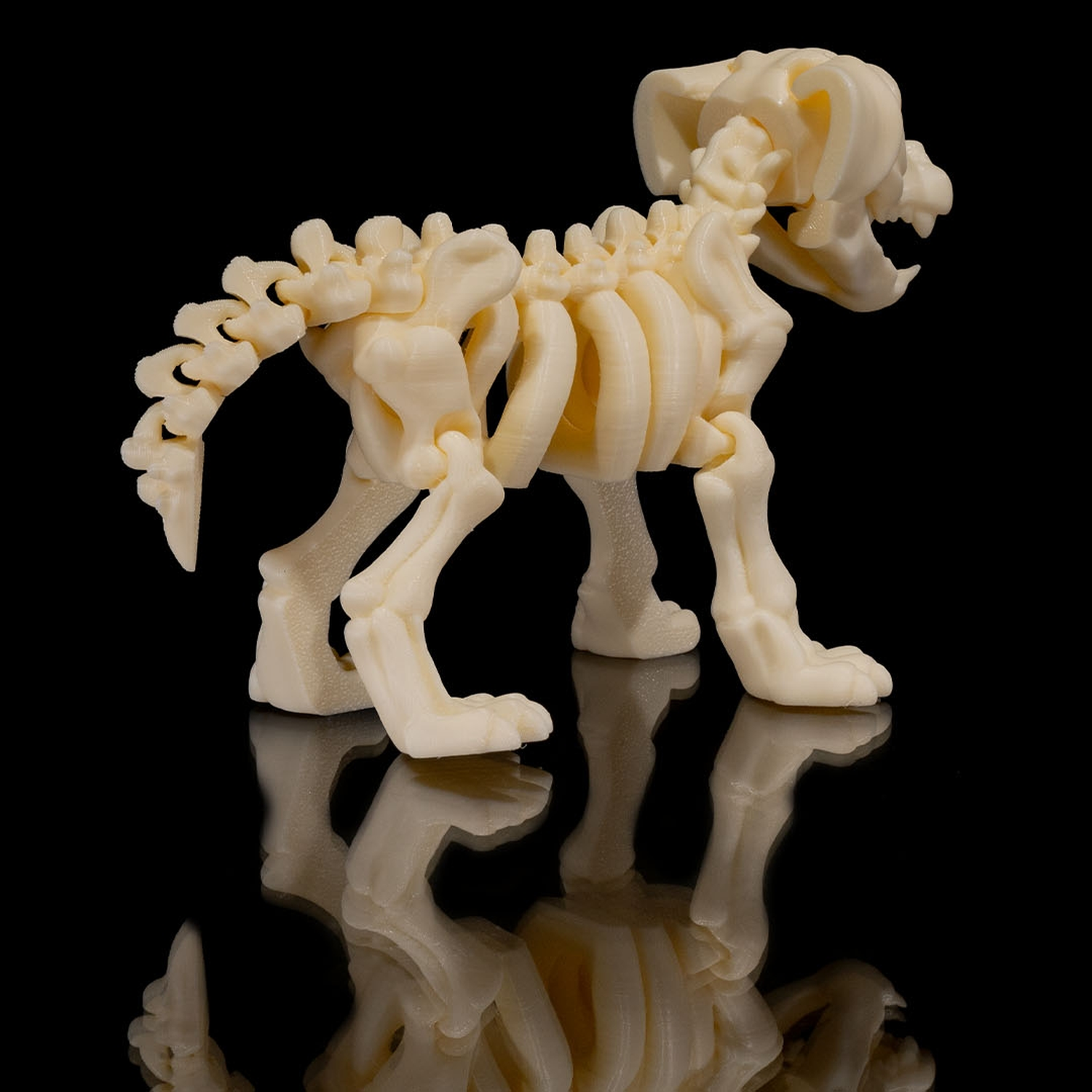 Skeleton Dog