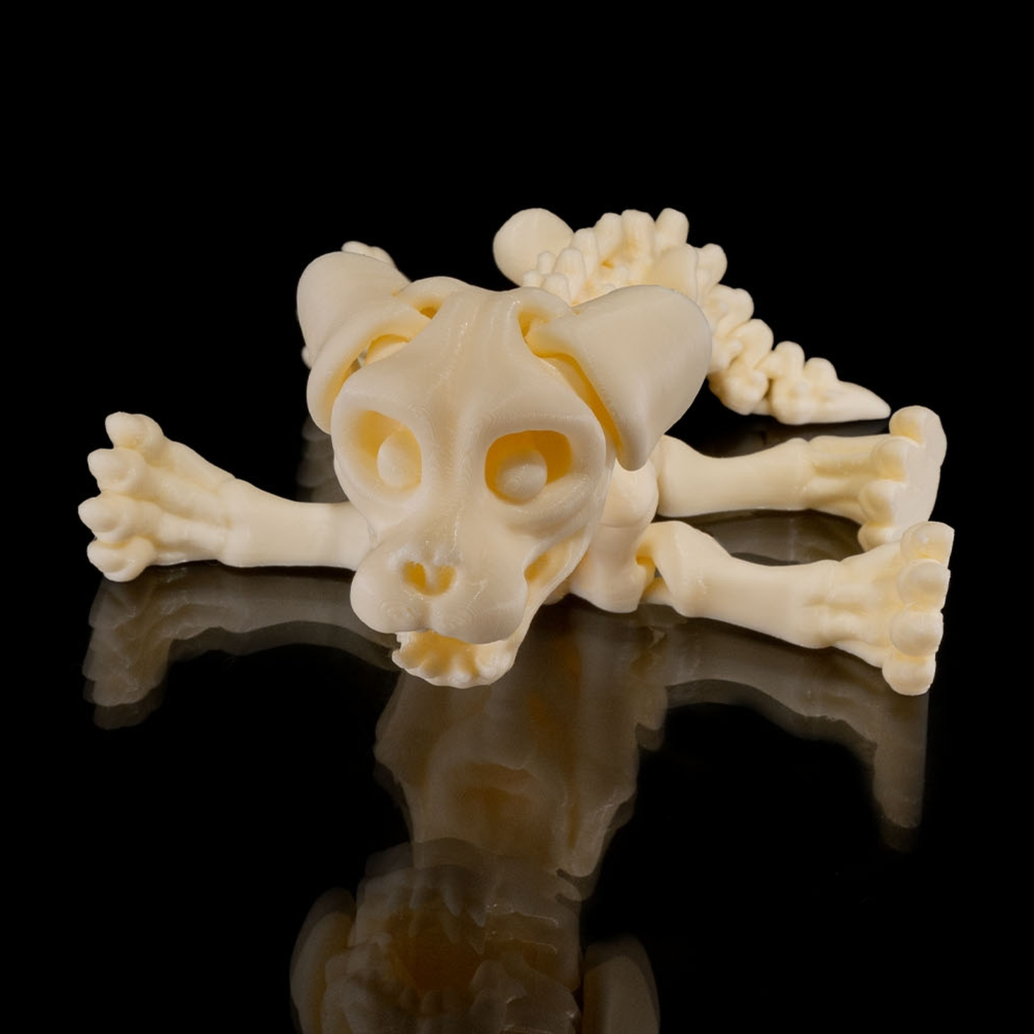 Skeleton Dog
