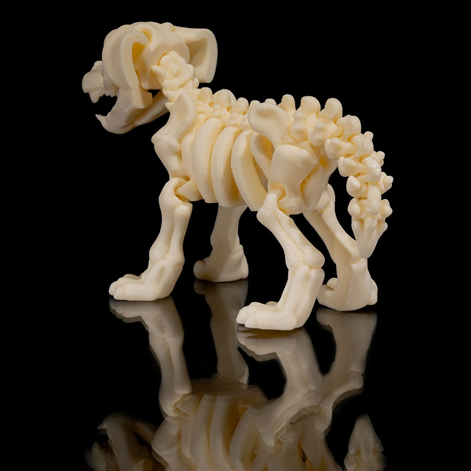 Skeleton Dog