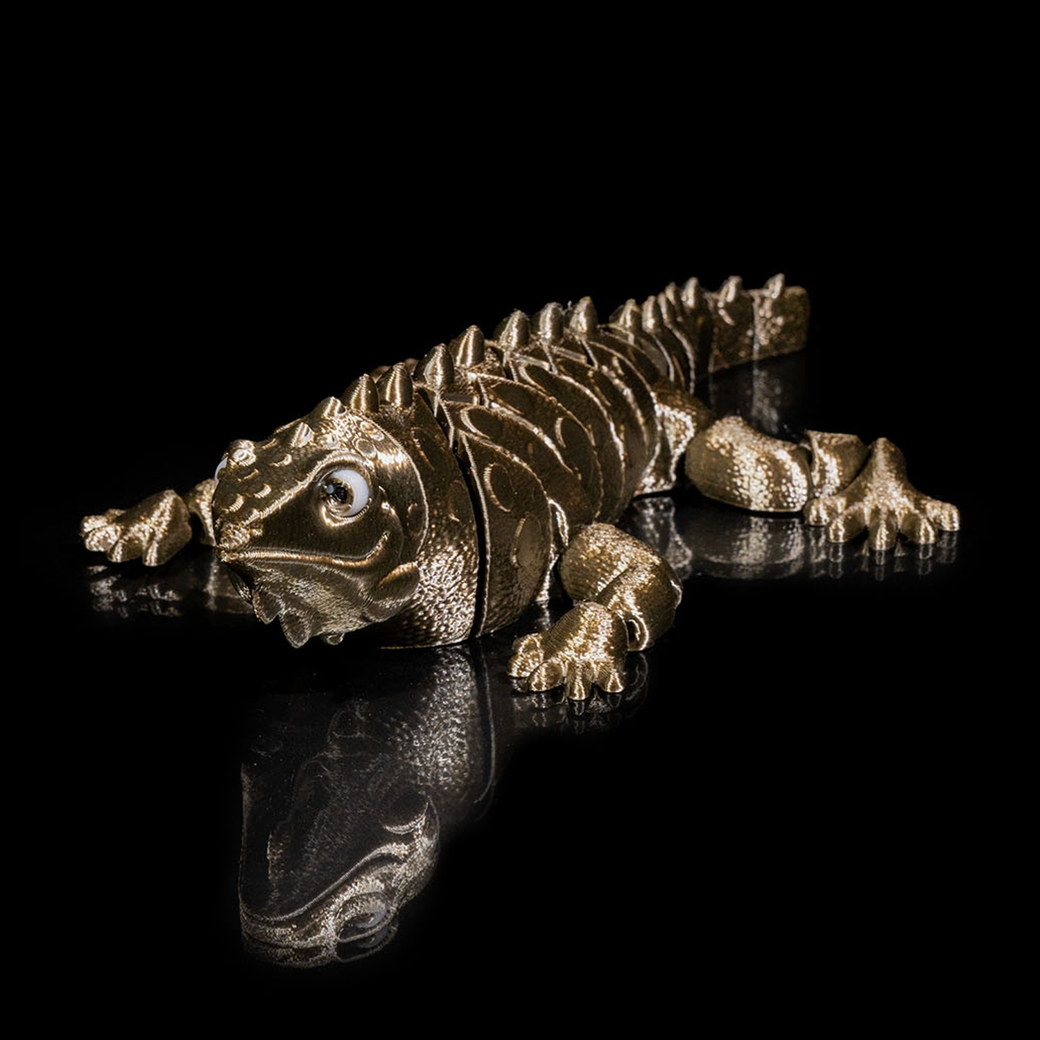 Iguana