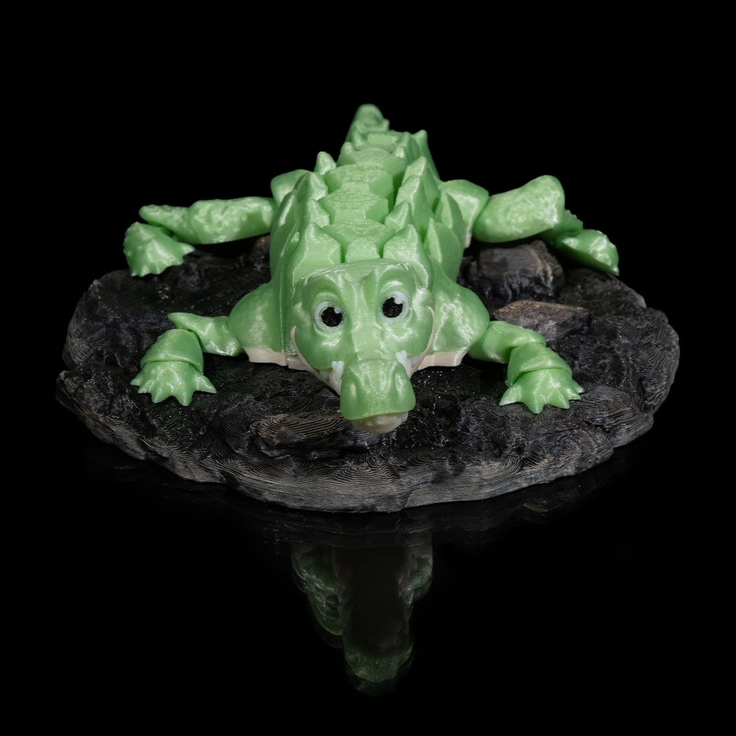 Alligator
