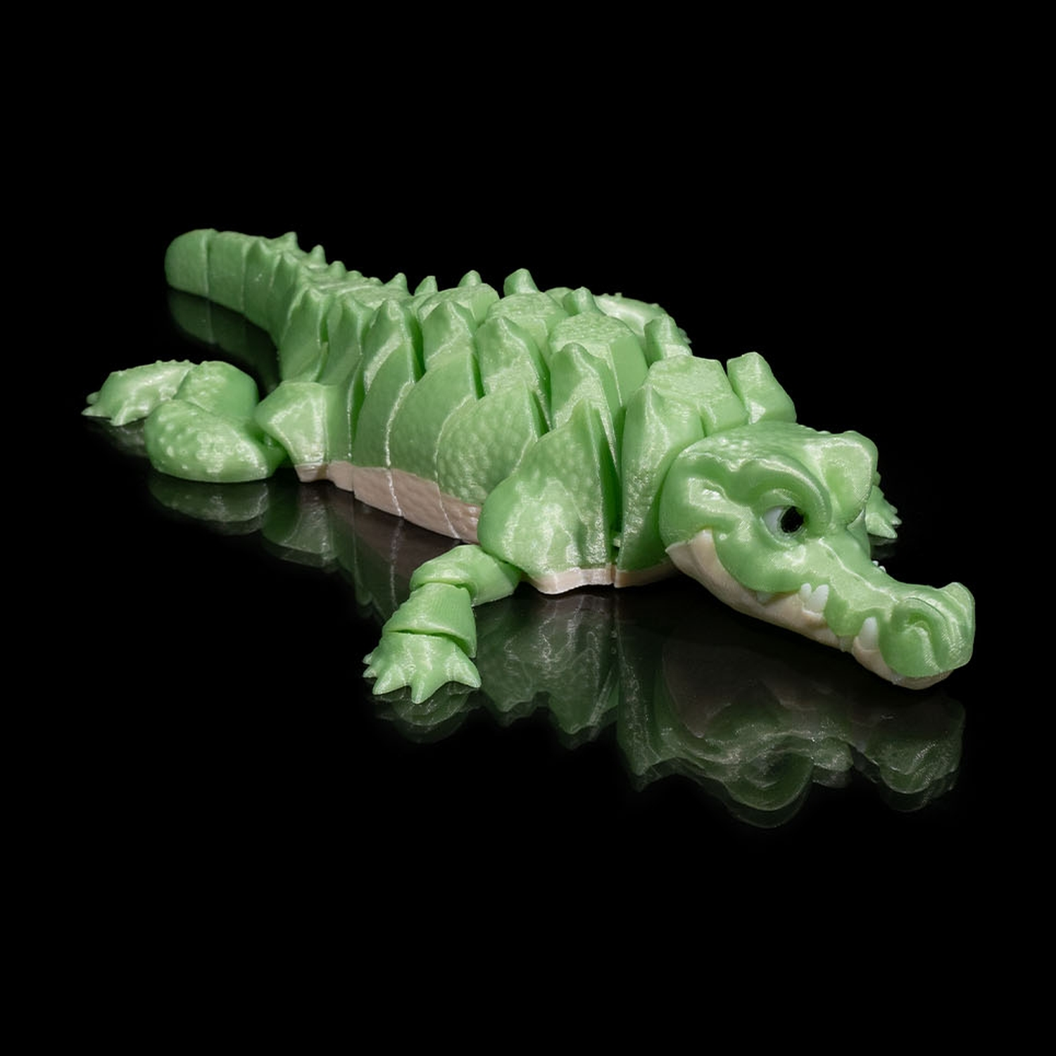 Alligator
