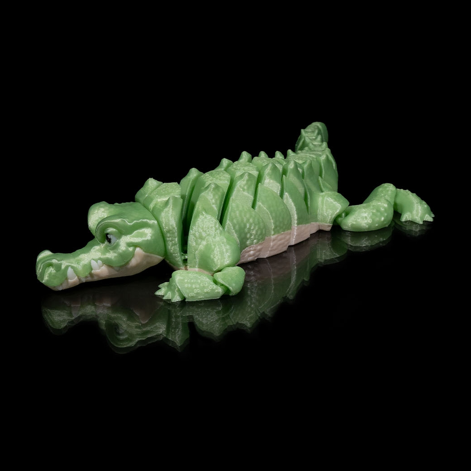 Alligator