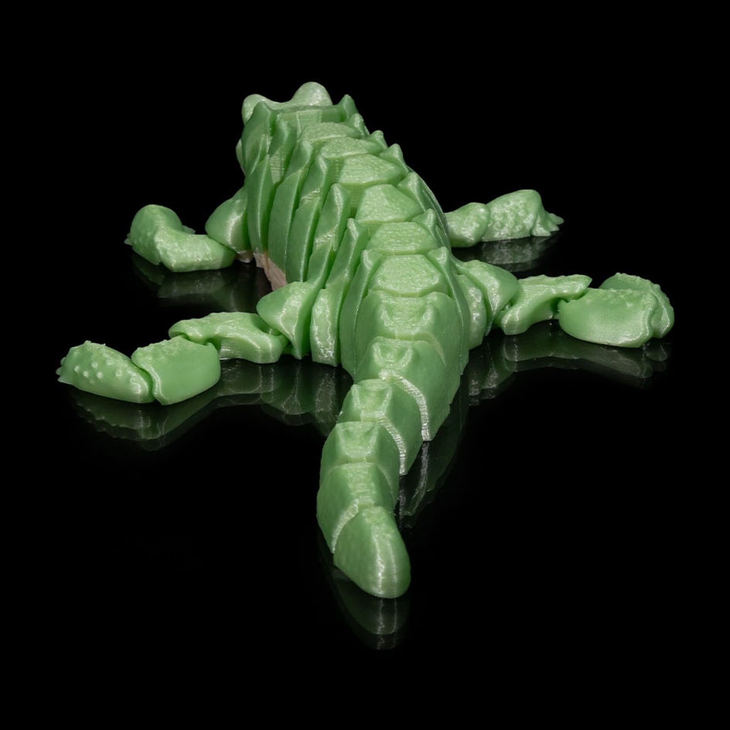 Alligator