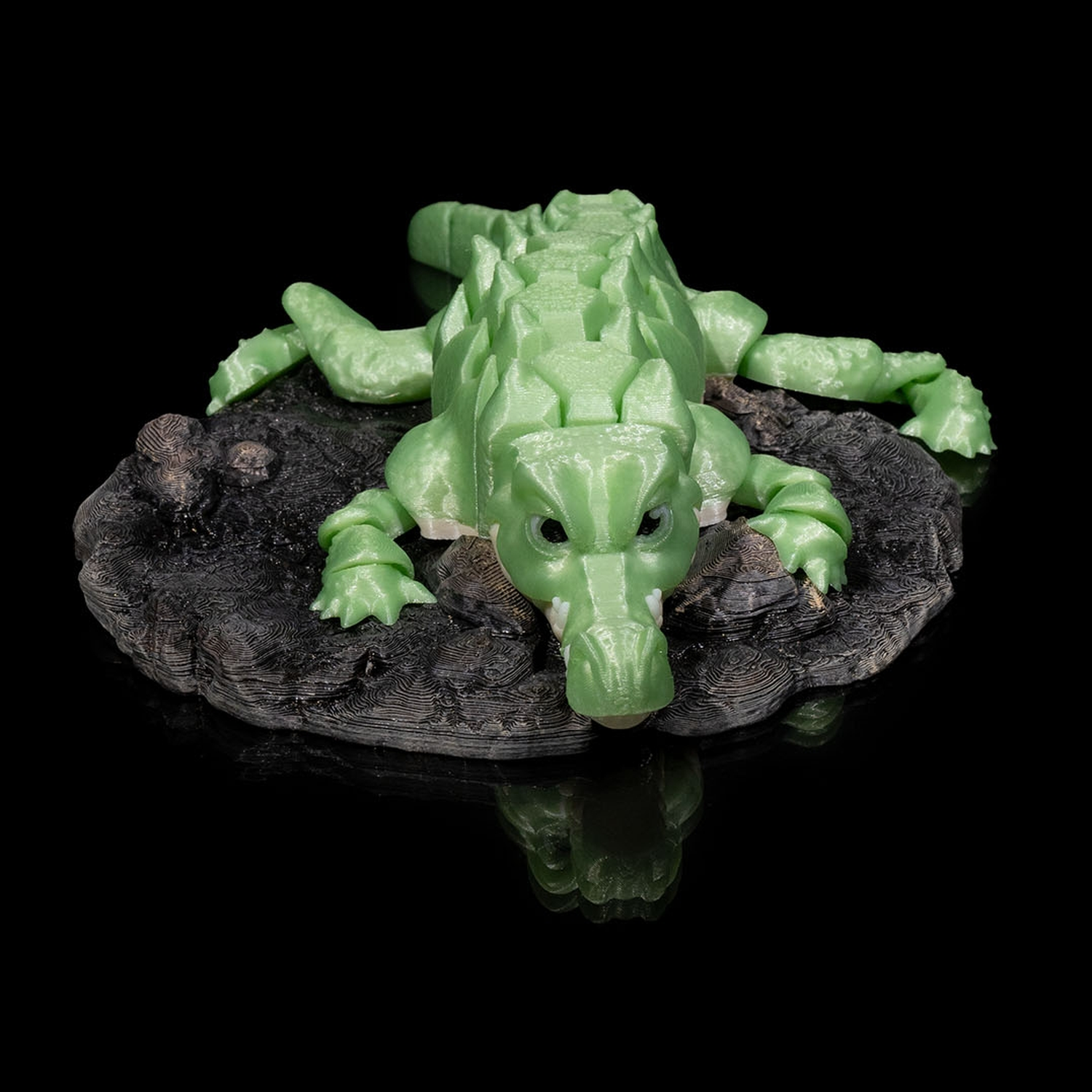 Alligator