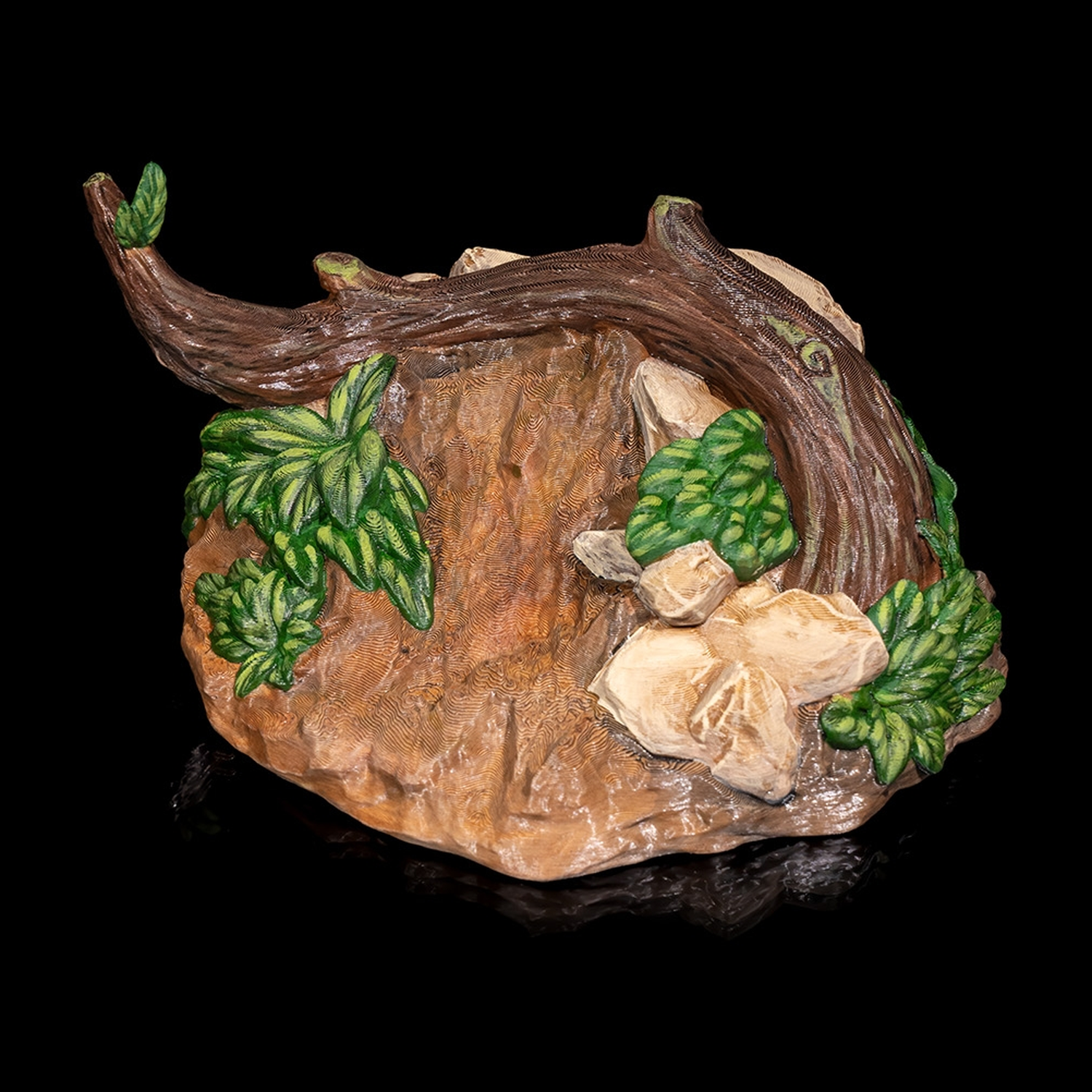 Frilled Neck Lizard