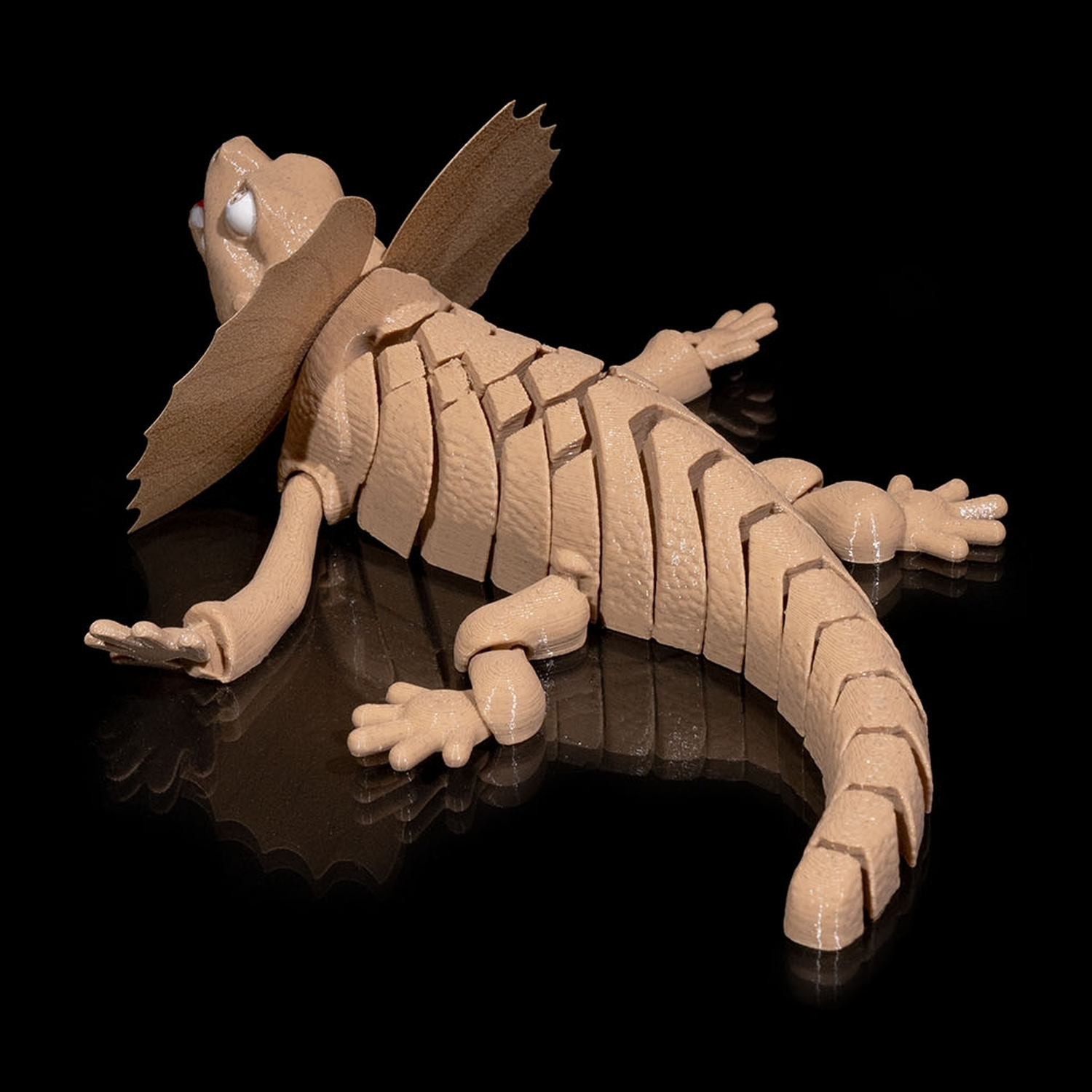 Frilled Neck Lizard