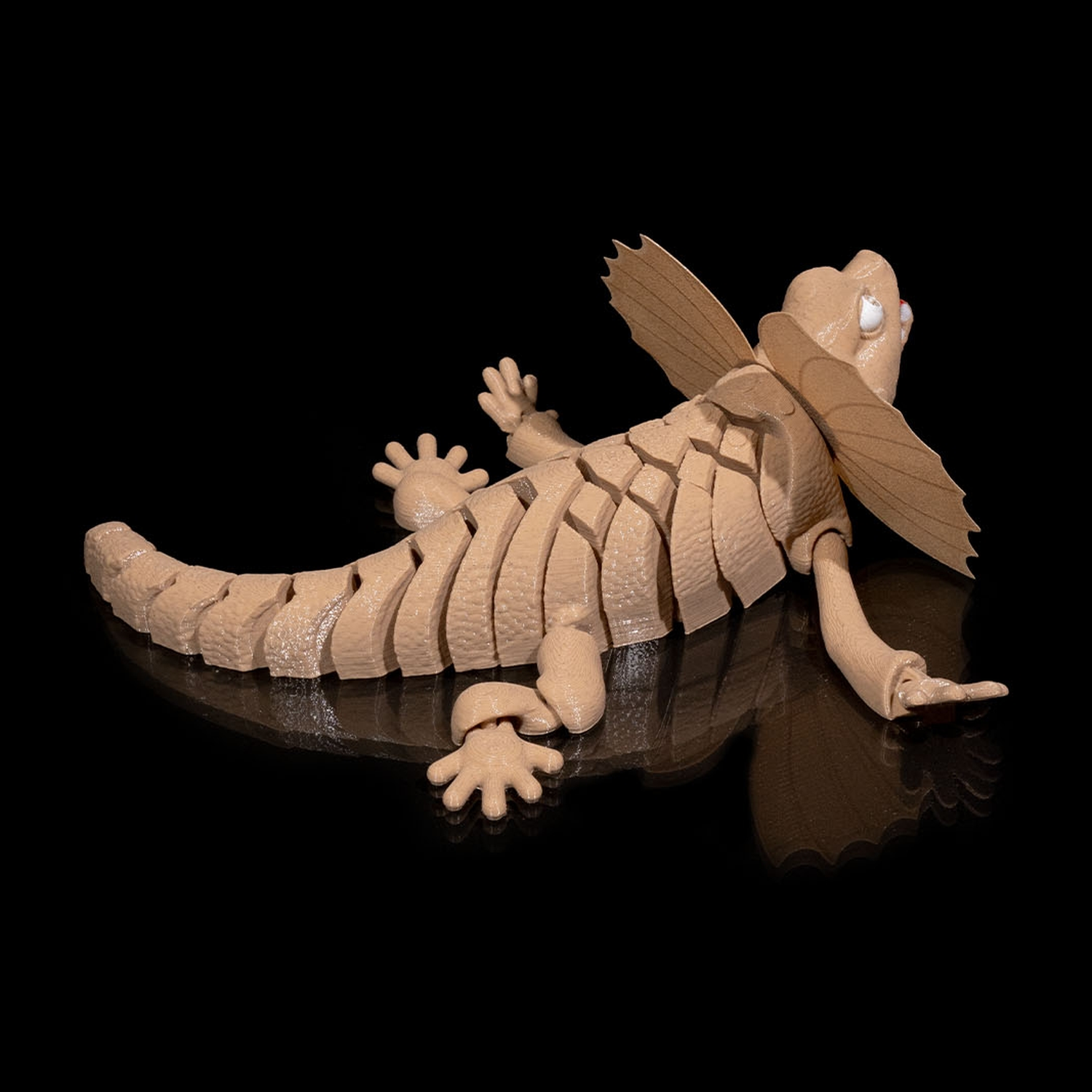 Frilled Neck Lizard