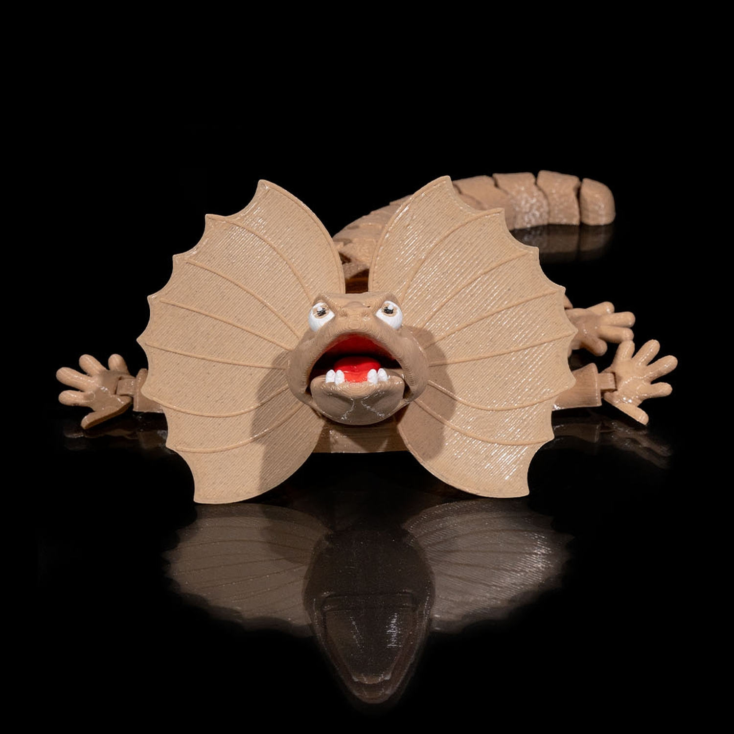 Frilled Neck Lizard