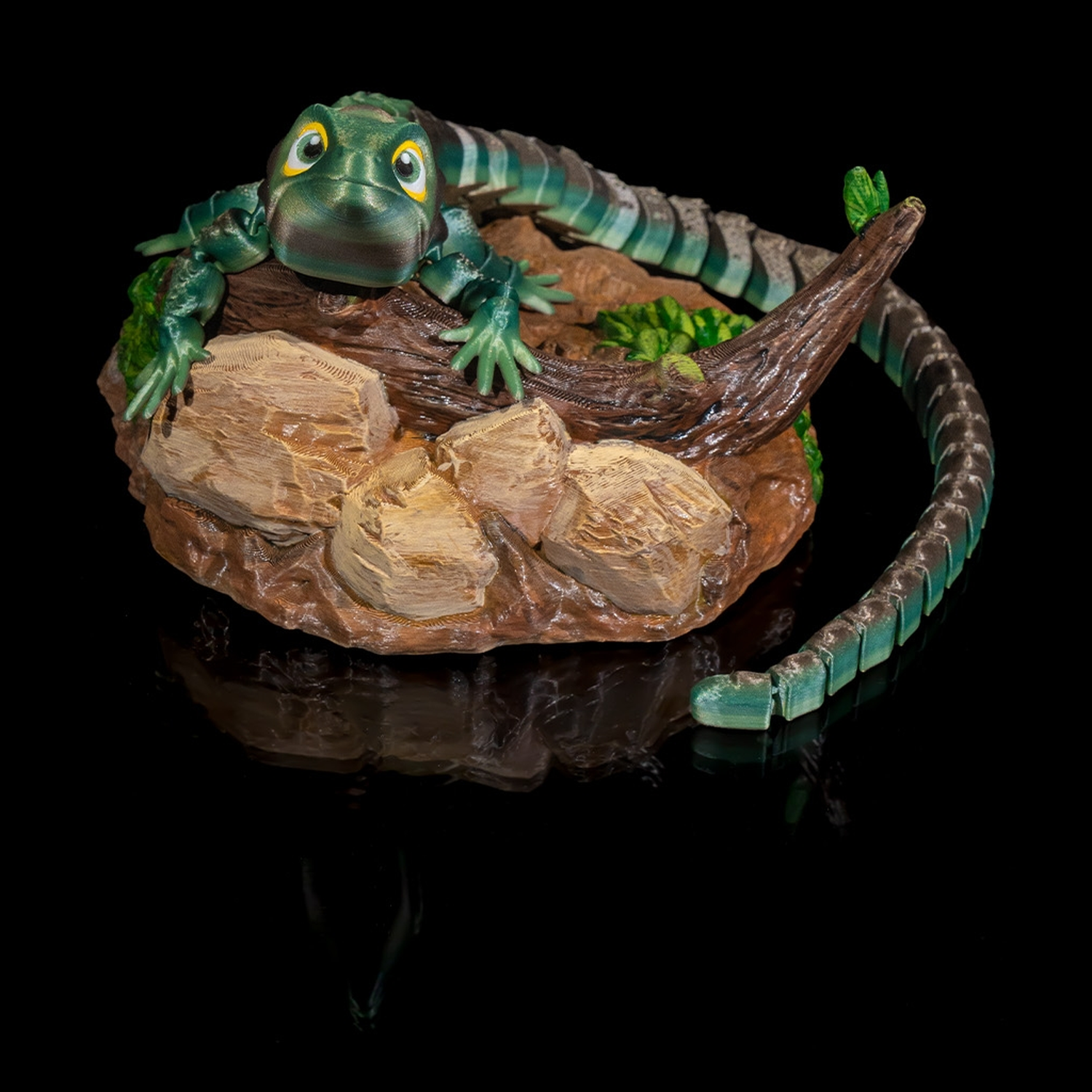 Abronia