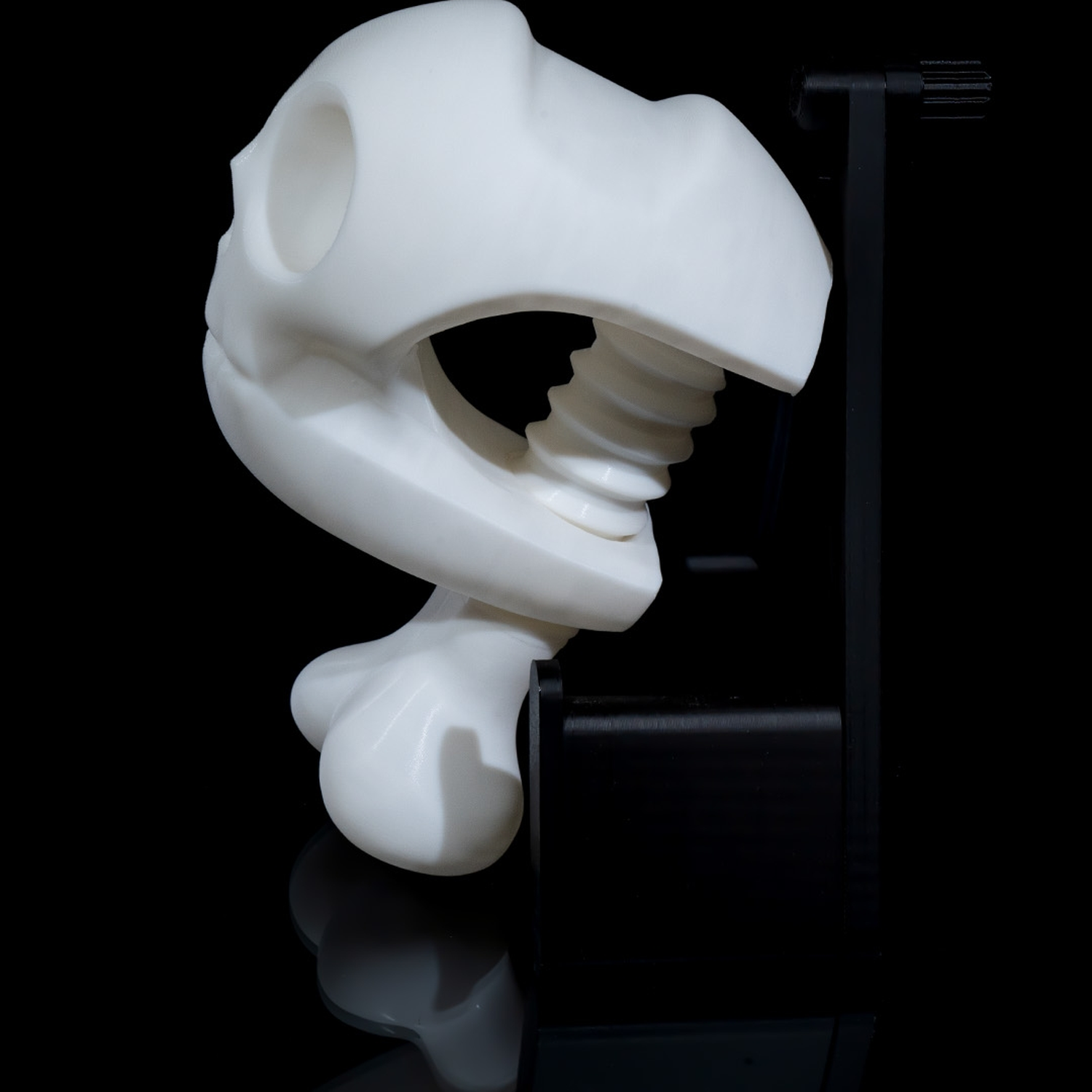 Skull Vise Headphone Holder