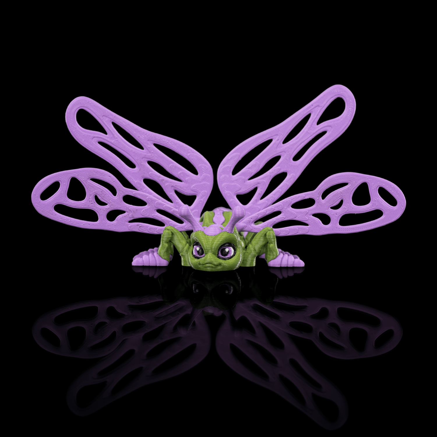 Lenny Dragonfly