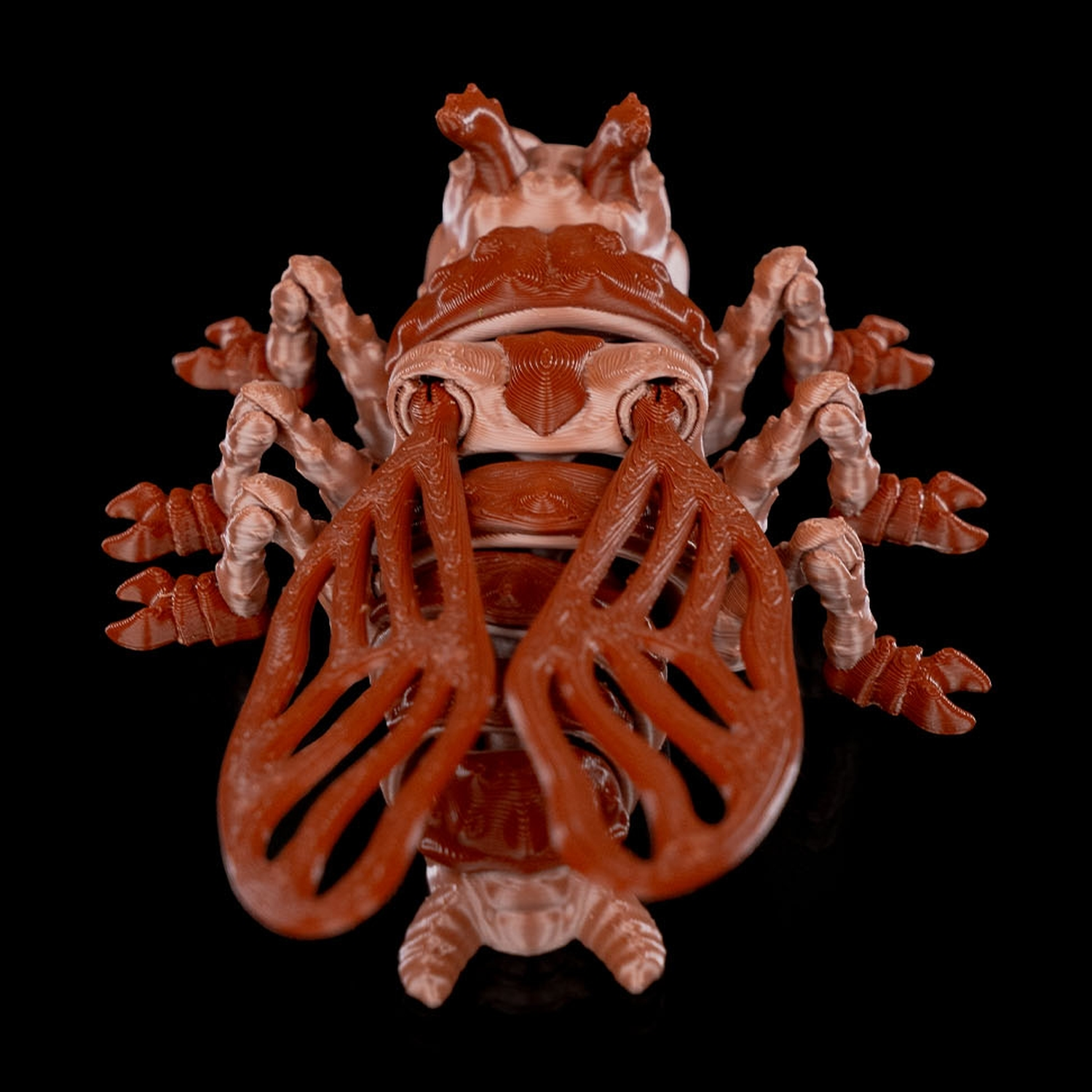 Larry Cockroach