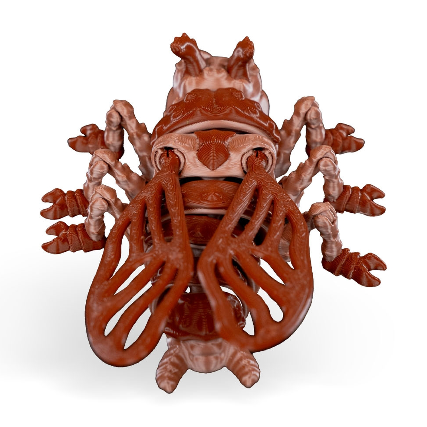 Larry Cockroach