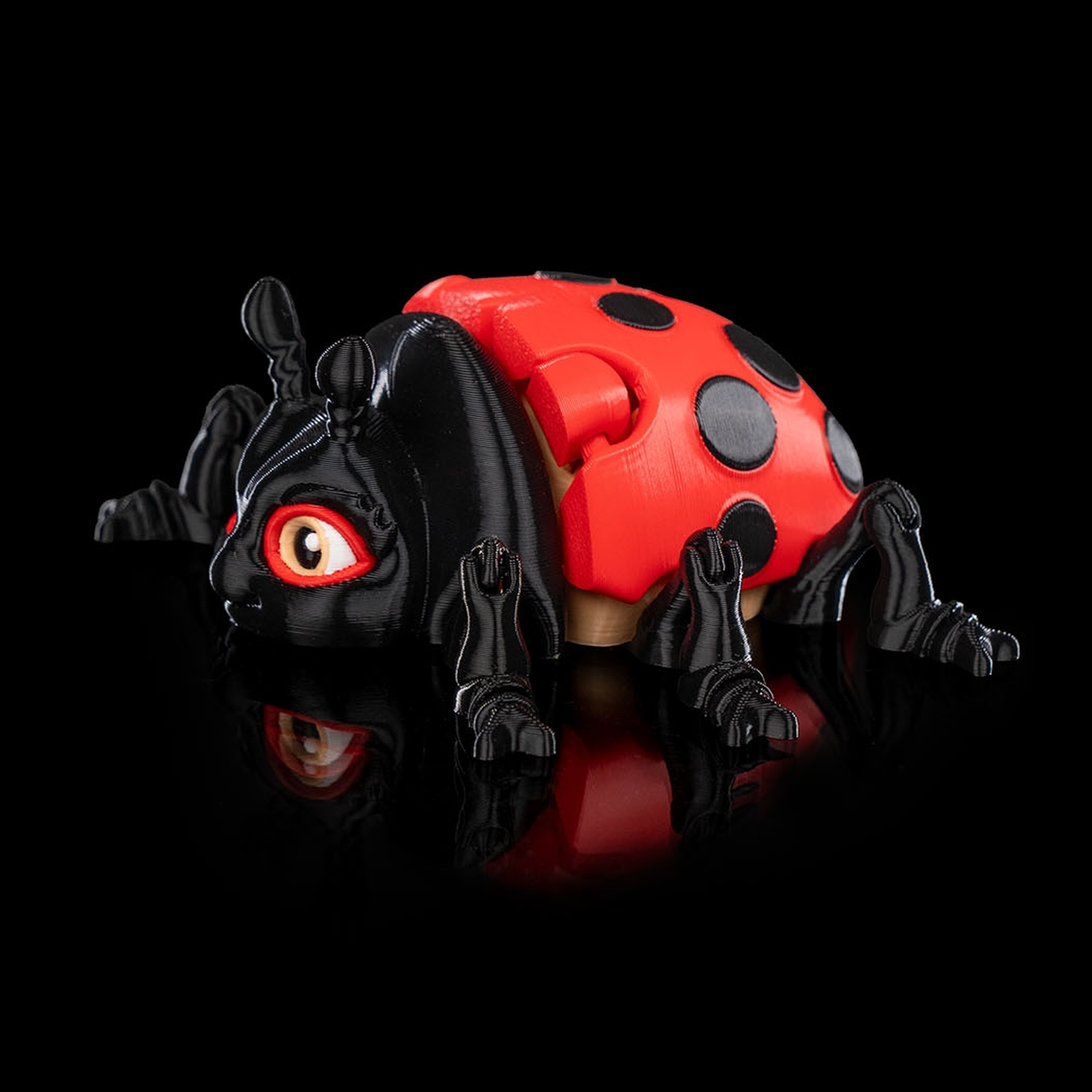 Lilly Ladybug