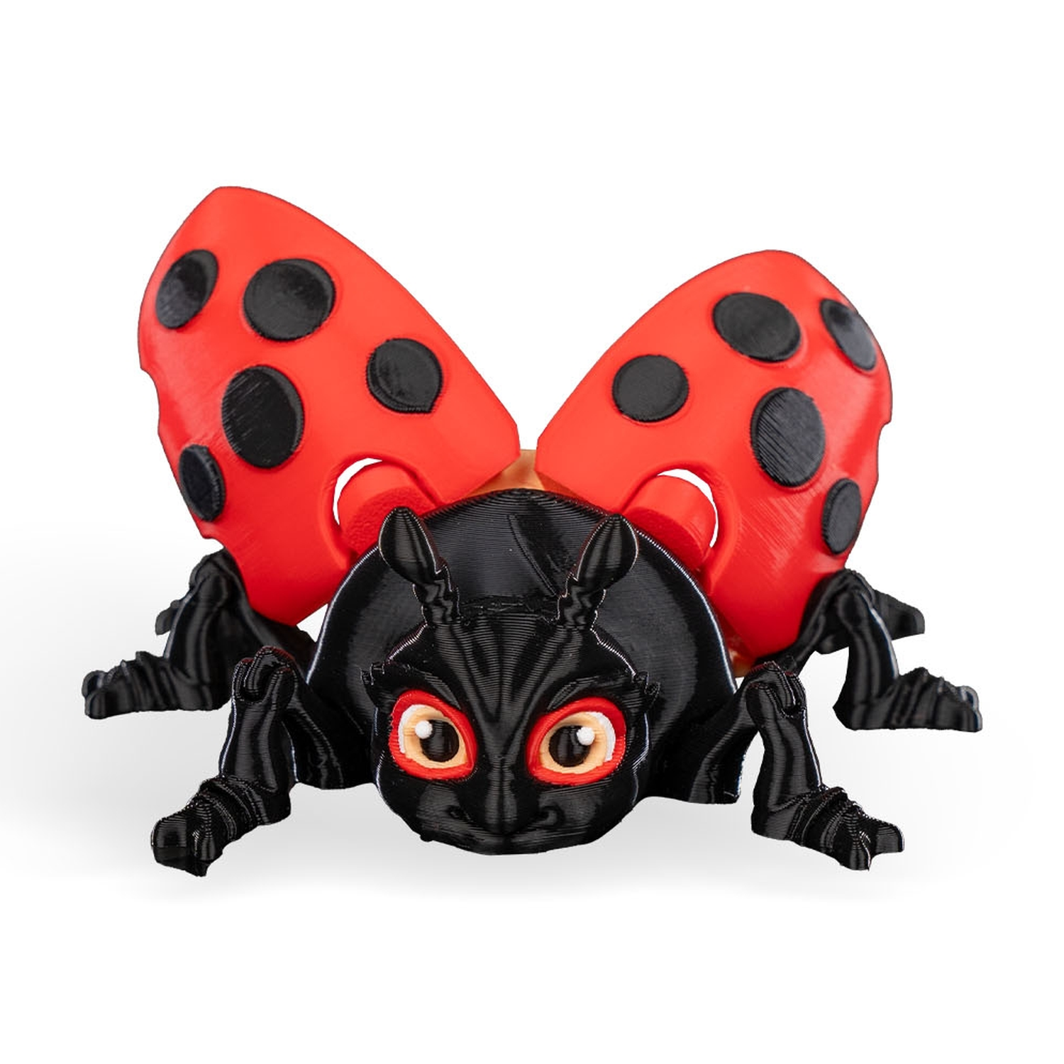 Lilly Ladybug
